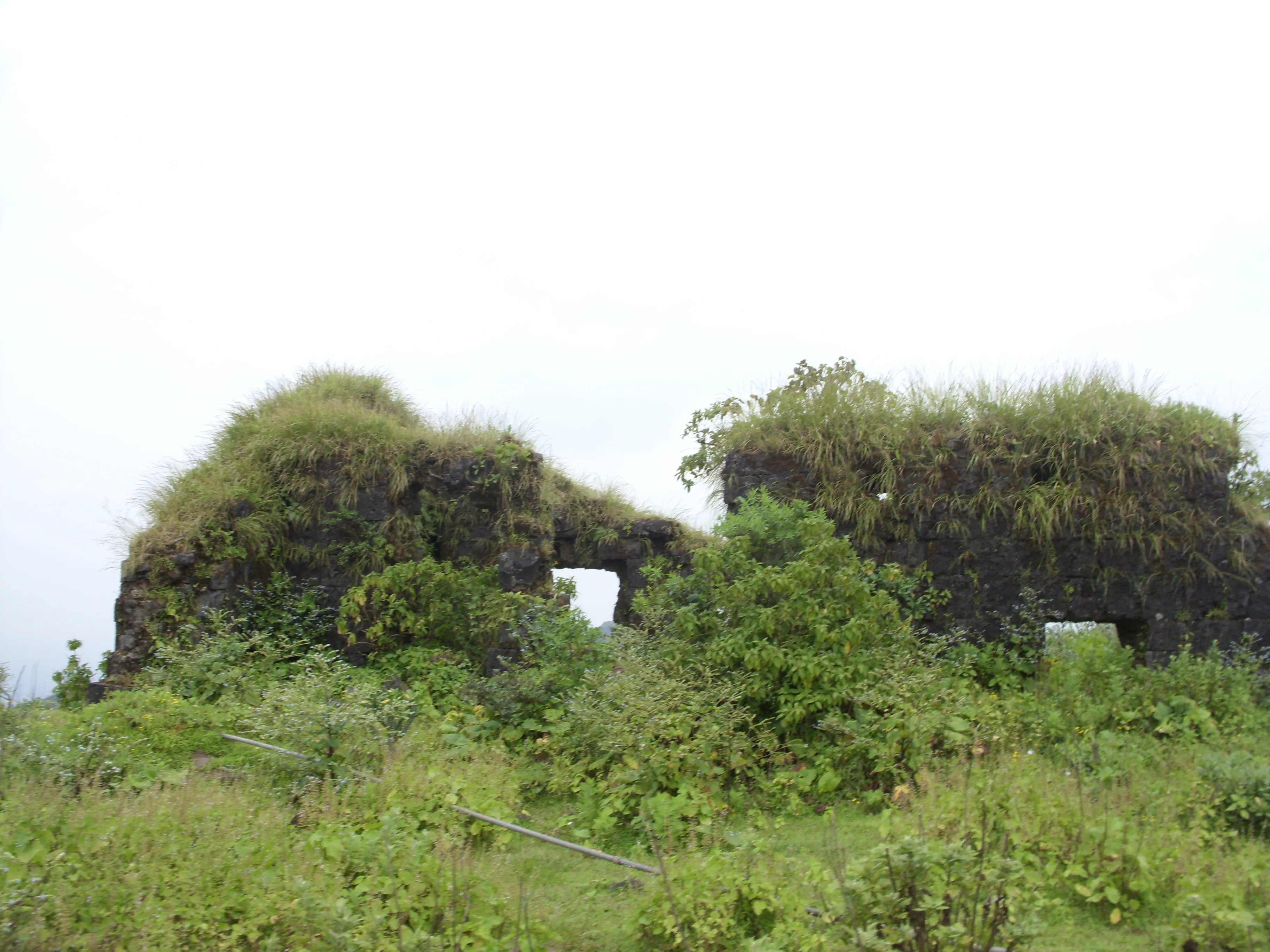 Purandar Fort Pune - Image 26