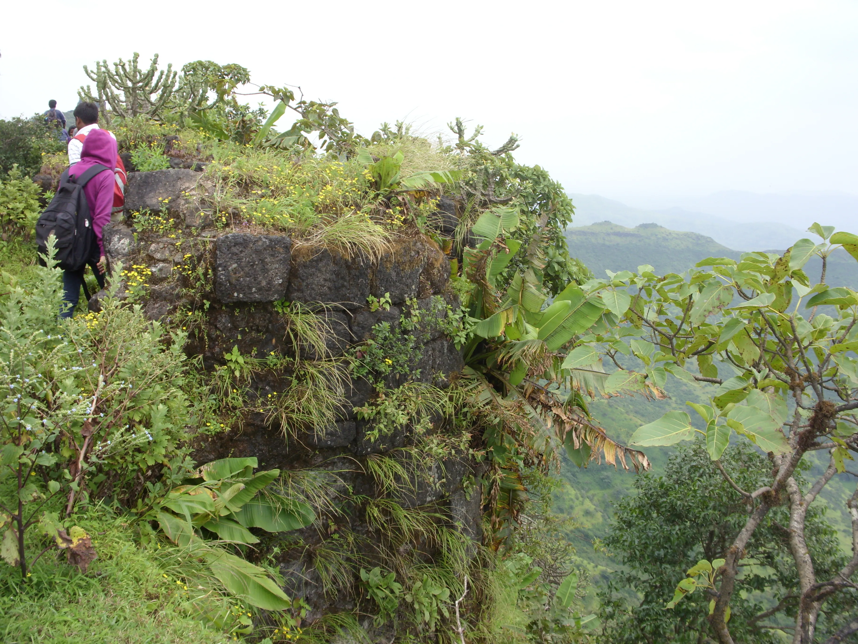Purandar Fort Pune - Image 31