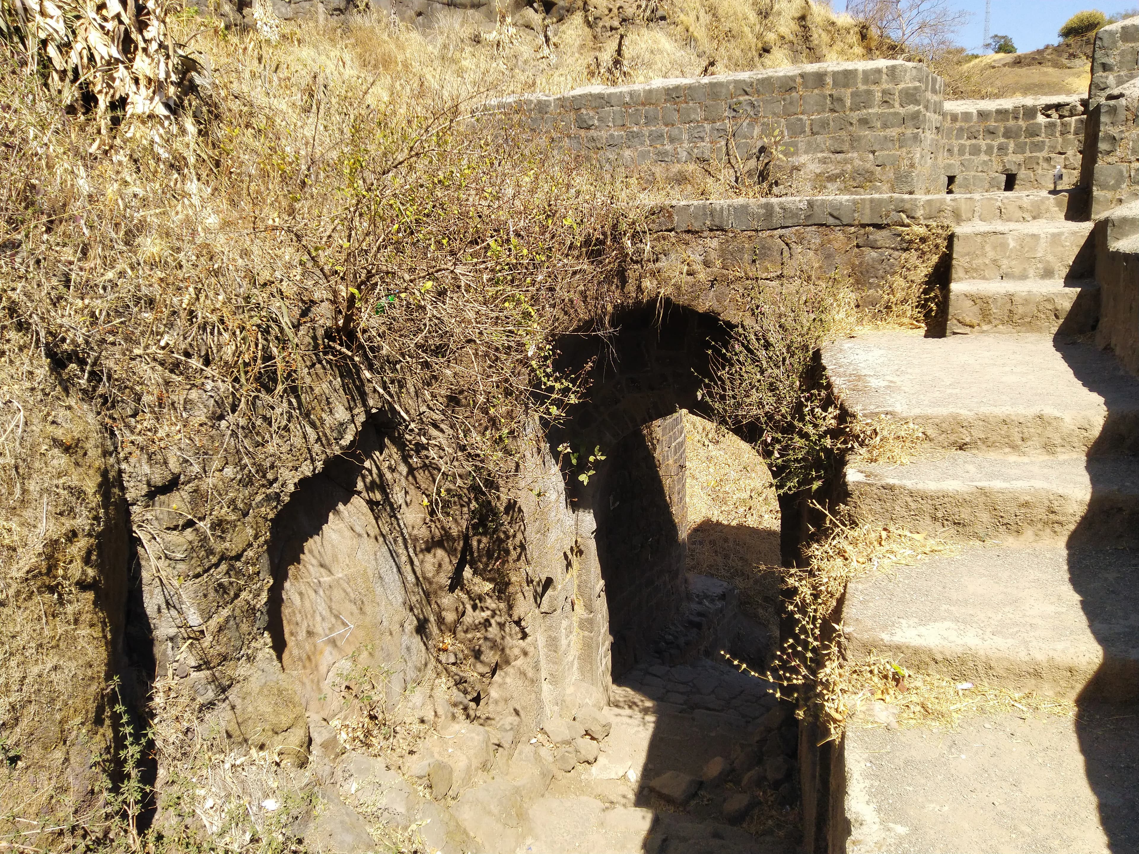 Help preserve Sinhagad Fort Pune
