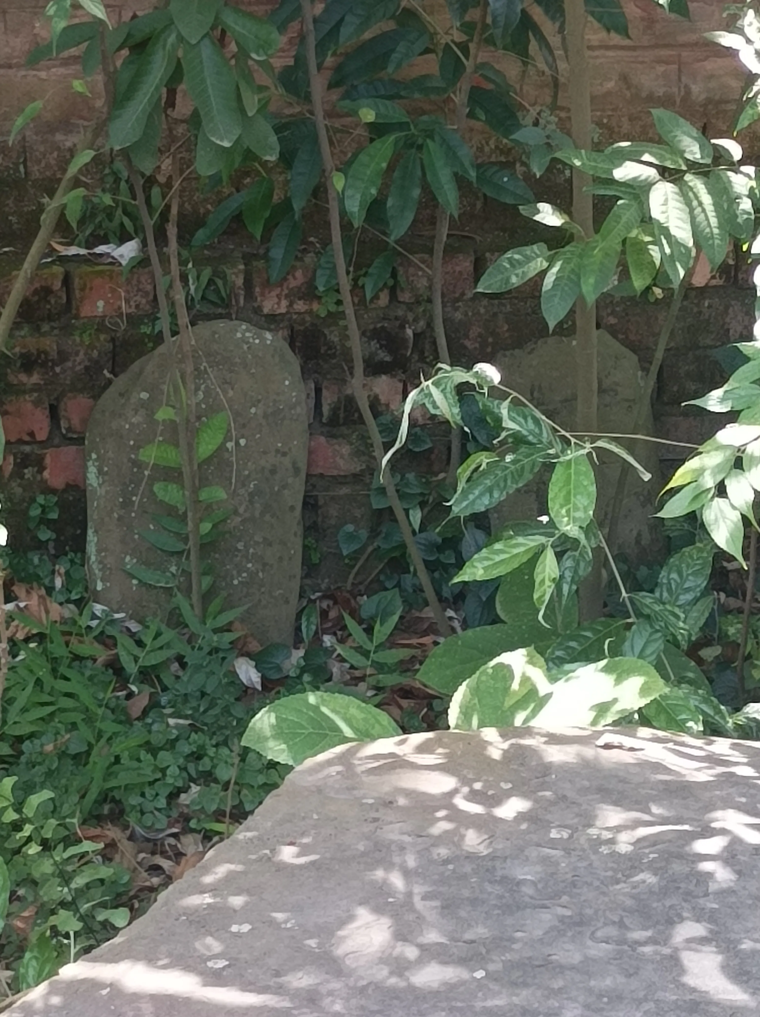 Kangla Fort Imphal - Image 7