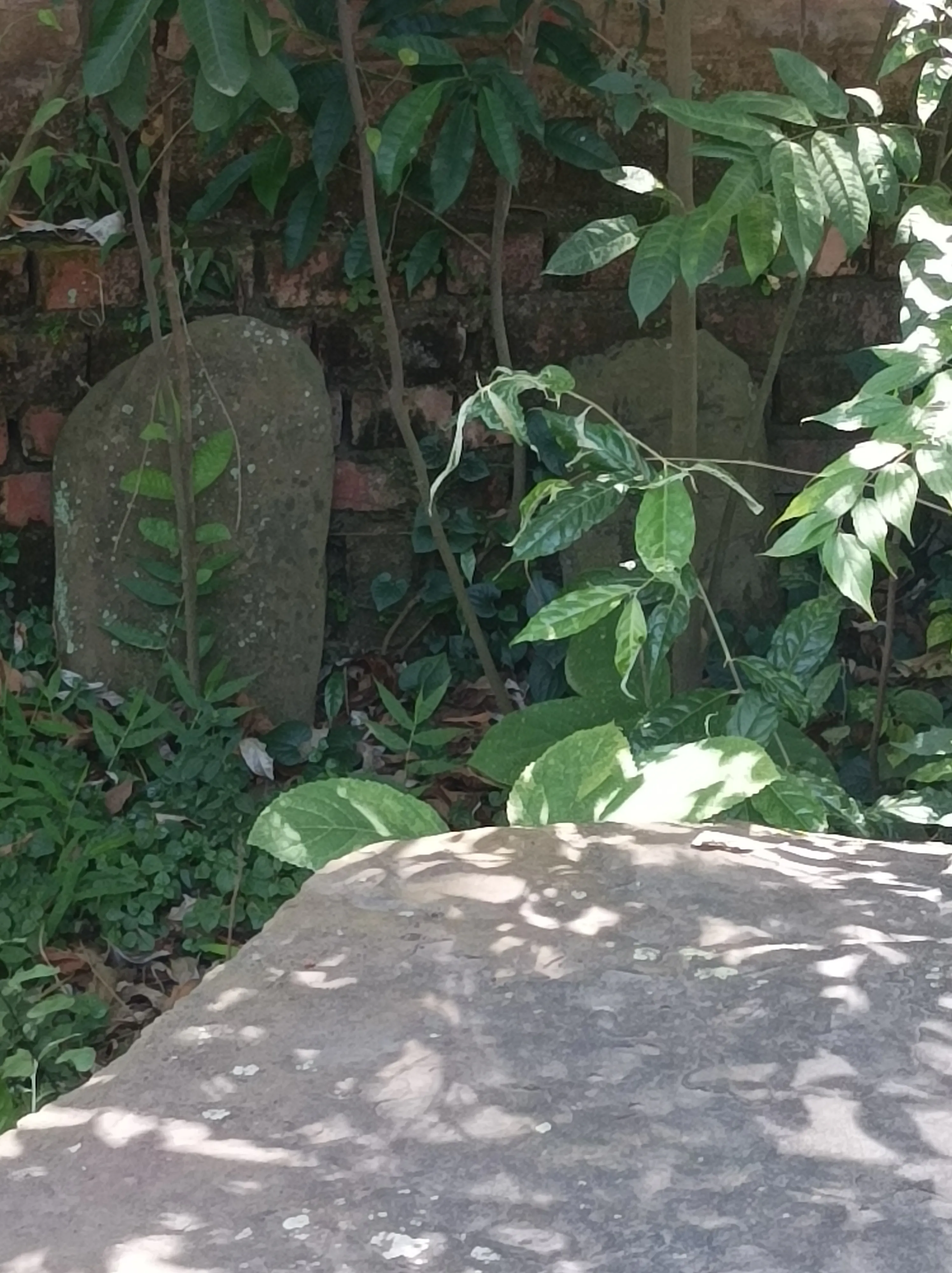 Kangla Fort Imphal - Image 8