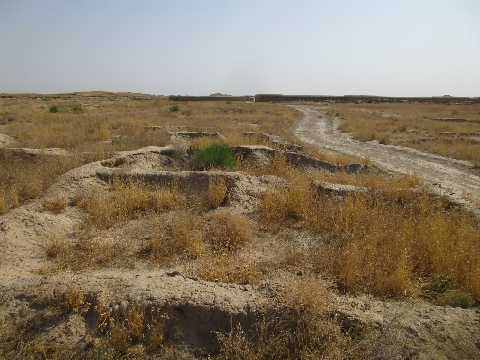 Volunteer at Gonur Depe Karakum Desert Turkmenistan