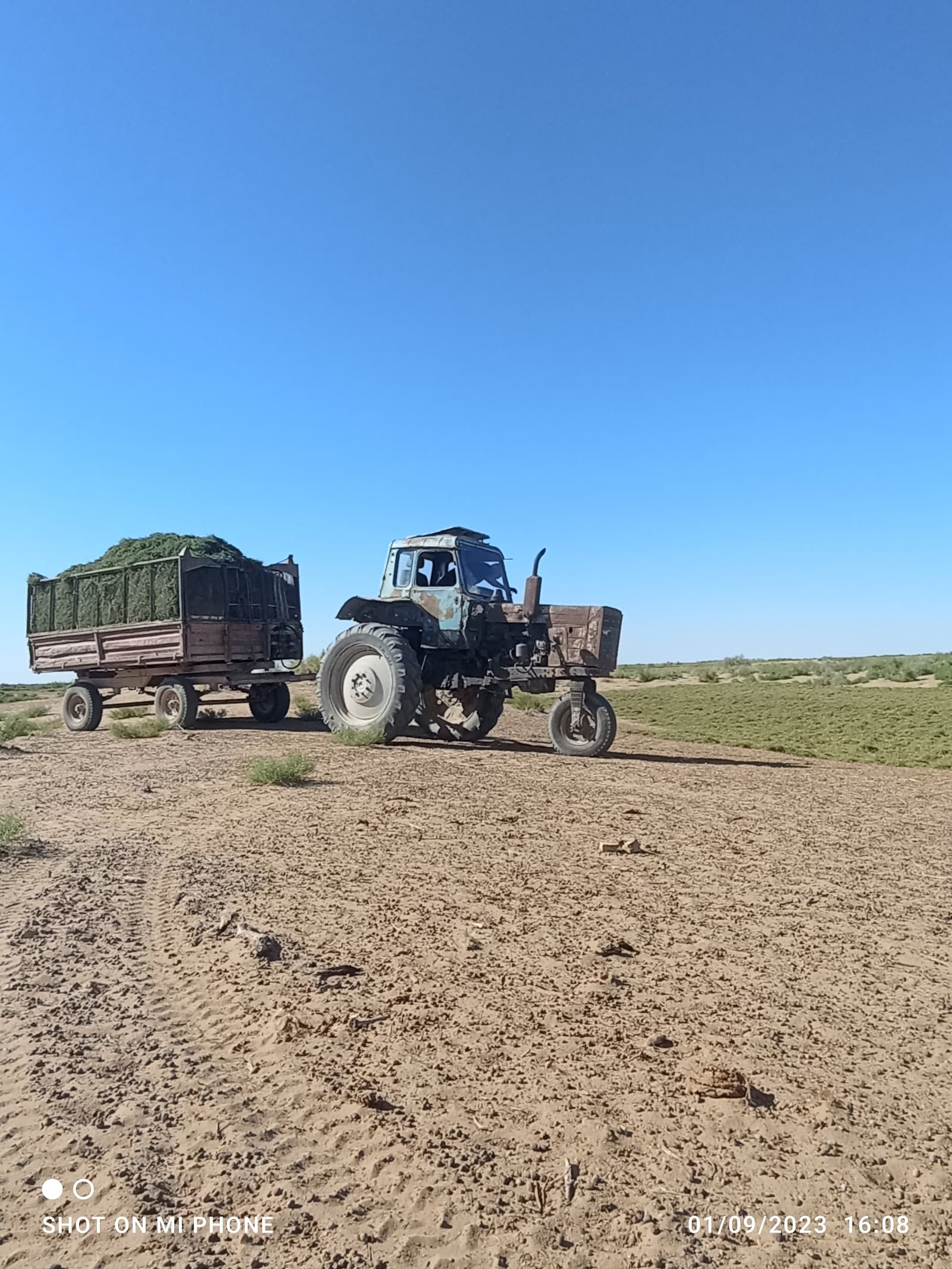Taip Depe Karakum Desert Turkmenistan temple in Taip Depe, Karakum Desert, Mary Region, Turkmenistan, Mary Region - Bactria-Margiana architecture style, Vedic Period architecture style, Fire Altar architecture style, Indian Religious architecture style (Vedic Period) - thumbnail