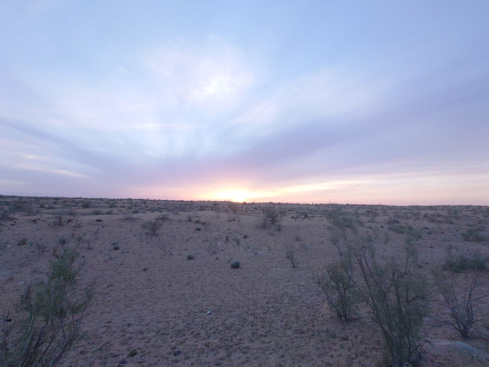 Volunteer at Takhirbaj Depe Karakum Desert Turkmenistan