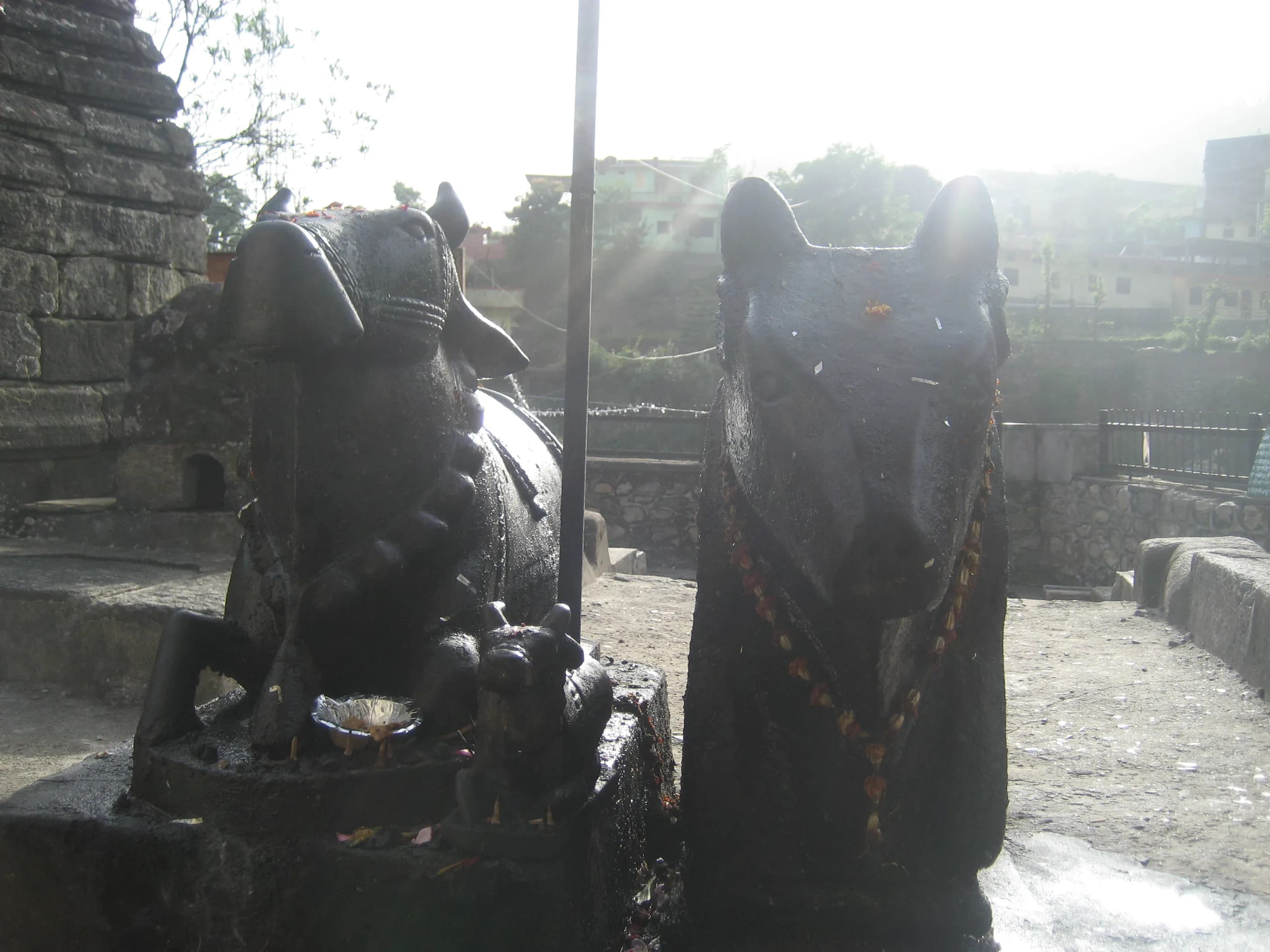 This prompt contains contradictory information. Dimapur is in Nagaland, not Rajasthan. A Rajasthani journalist wouldn't specialize in Nagaland's sites. Further, the prompt asks for a *Rajasthani* format, but for a site *outside* Rajasthan.
However, following the requested format as best as possible:
Shiv Temple Dimapur - Image 1