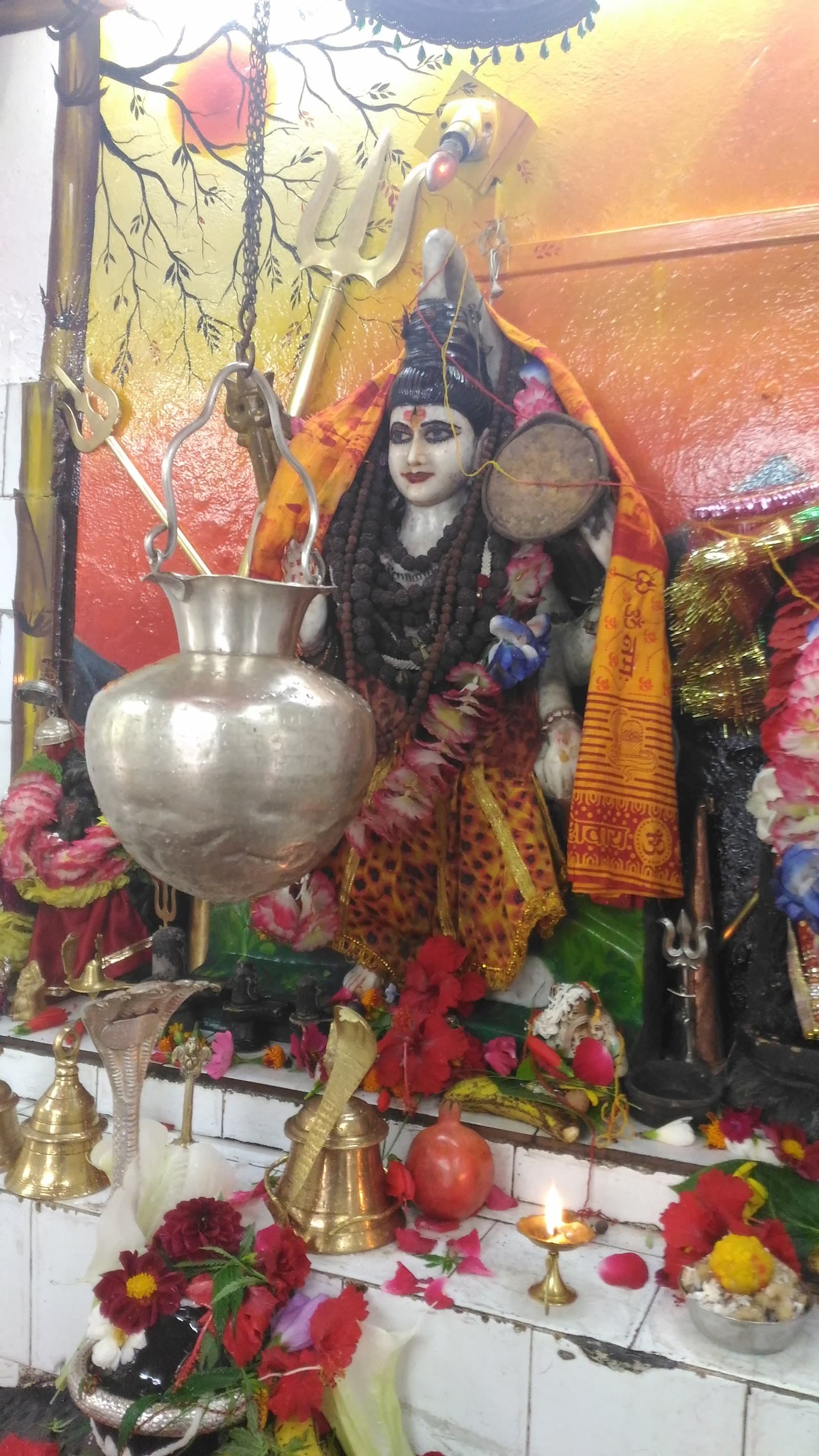 Volunteer at Wokha Shiv Mandir Wokha