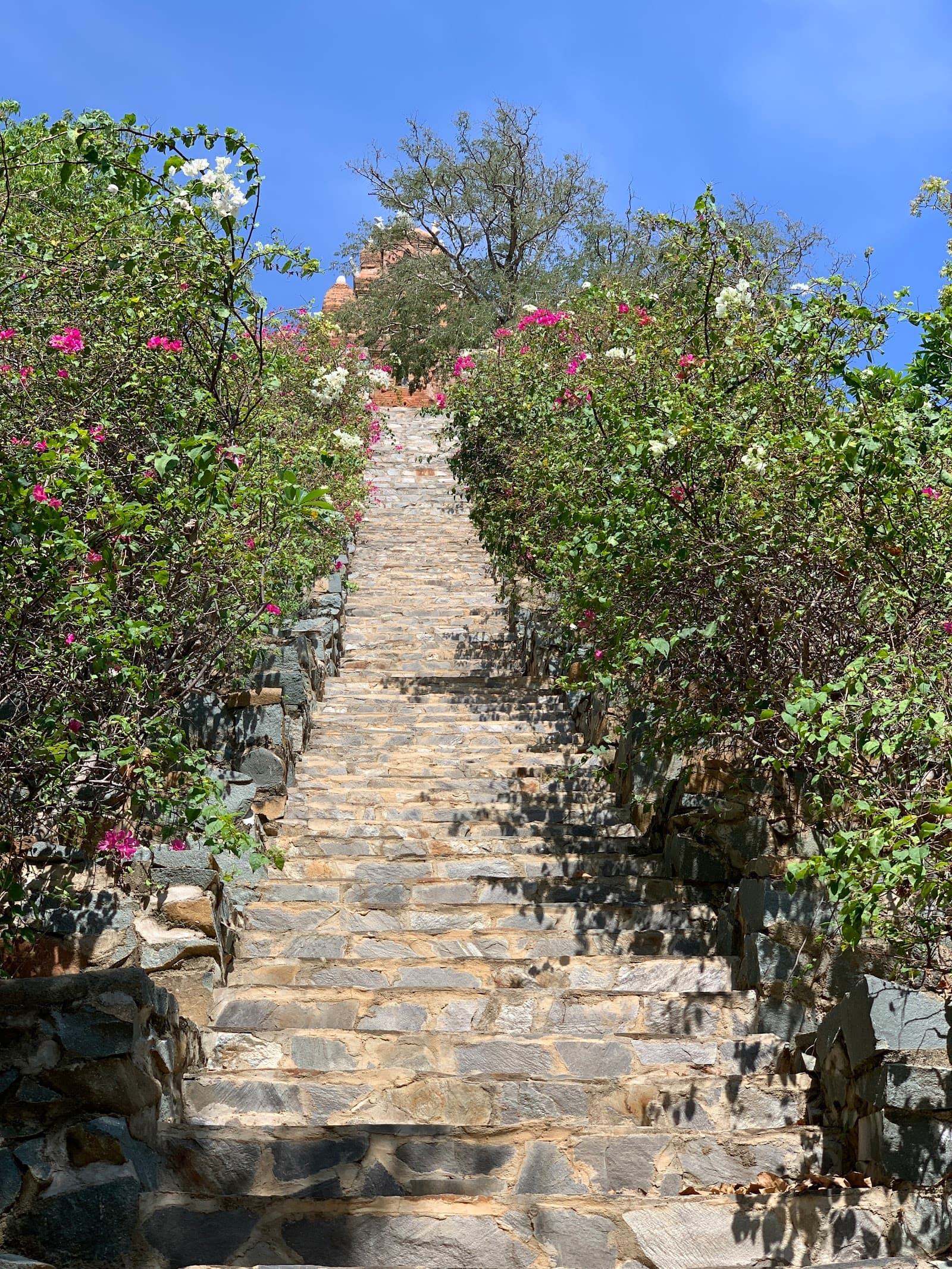 Volunteer at Po Rome Towers Ninh Thuan Vietnam