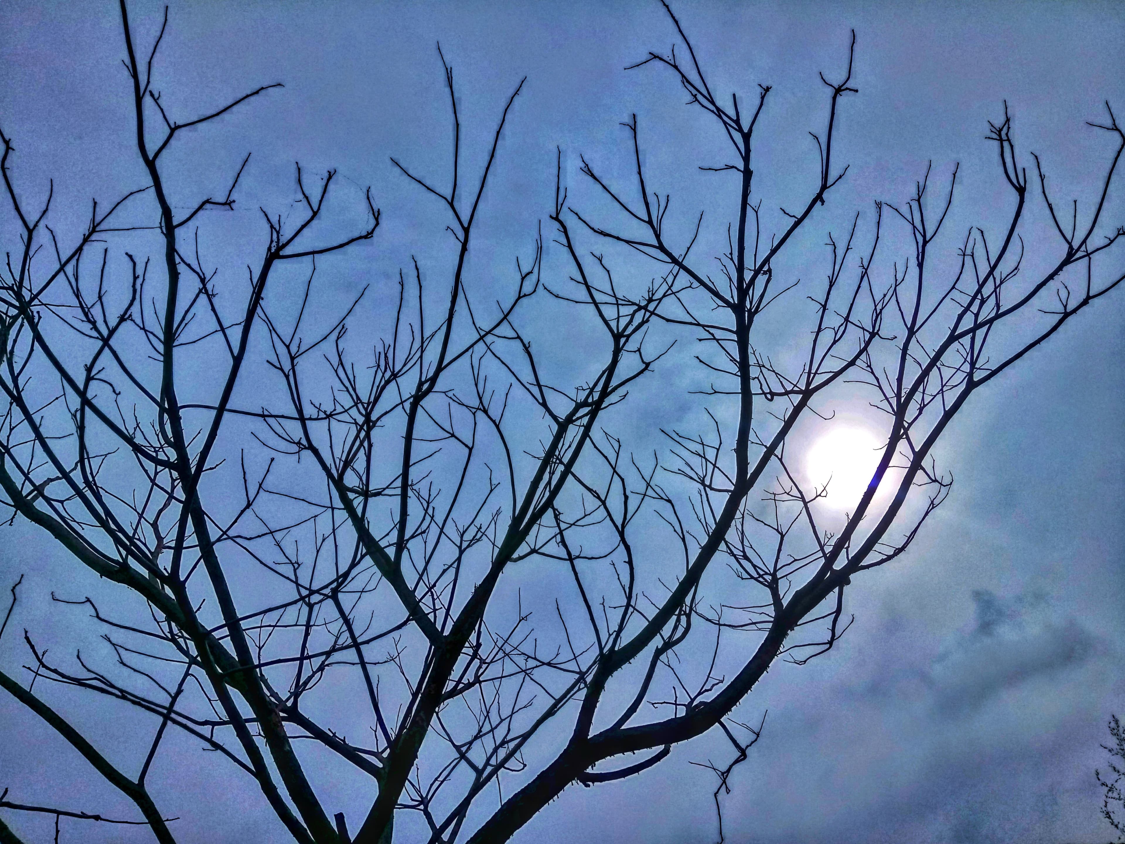 Anuradhapura Ancient City North Central Province Sri Lanka archaeological site in Anuradhapura, Anuradhapura District, North Central Province, Sri Lanka, North Central Province - Sri Lankan Buddhist architecture style, Indo-Buddhist architecture style, Stupa architecture style, Ancient Indian Urban Planning architecture style (Satavahana Period) - thumbnail