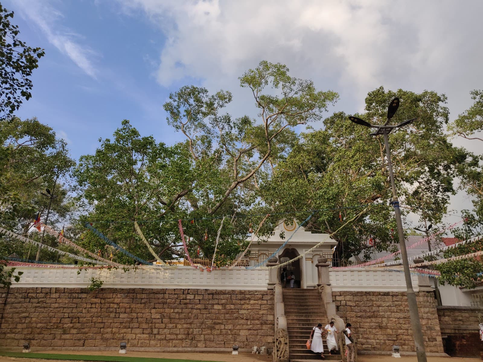 Volunteer at Sri Maha Bodhi Mahamevnawa Anuradhapura Sri Lanka