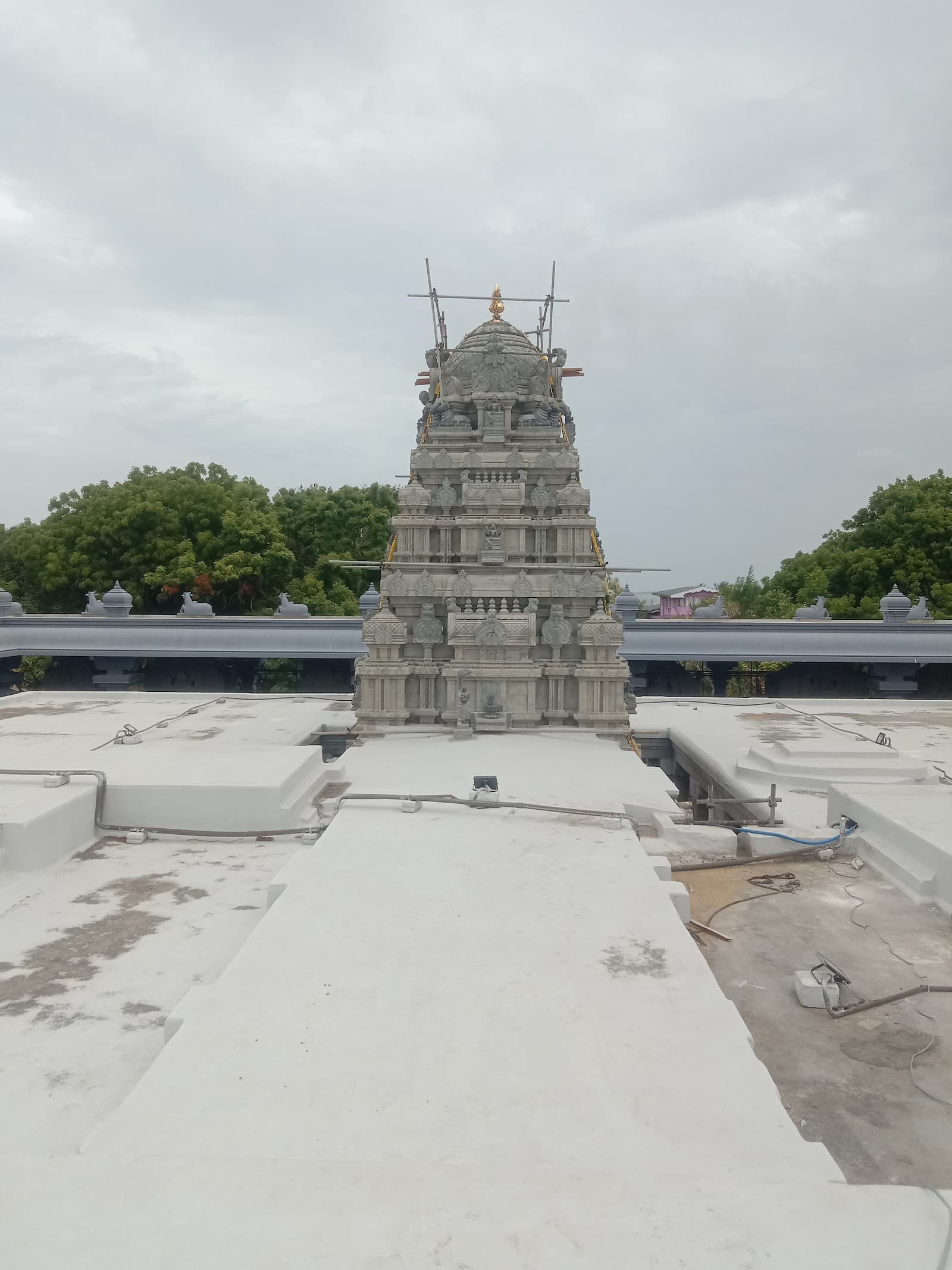 Volunteer at Thiruketheeswaram Temple Mannar Sri Lanka