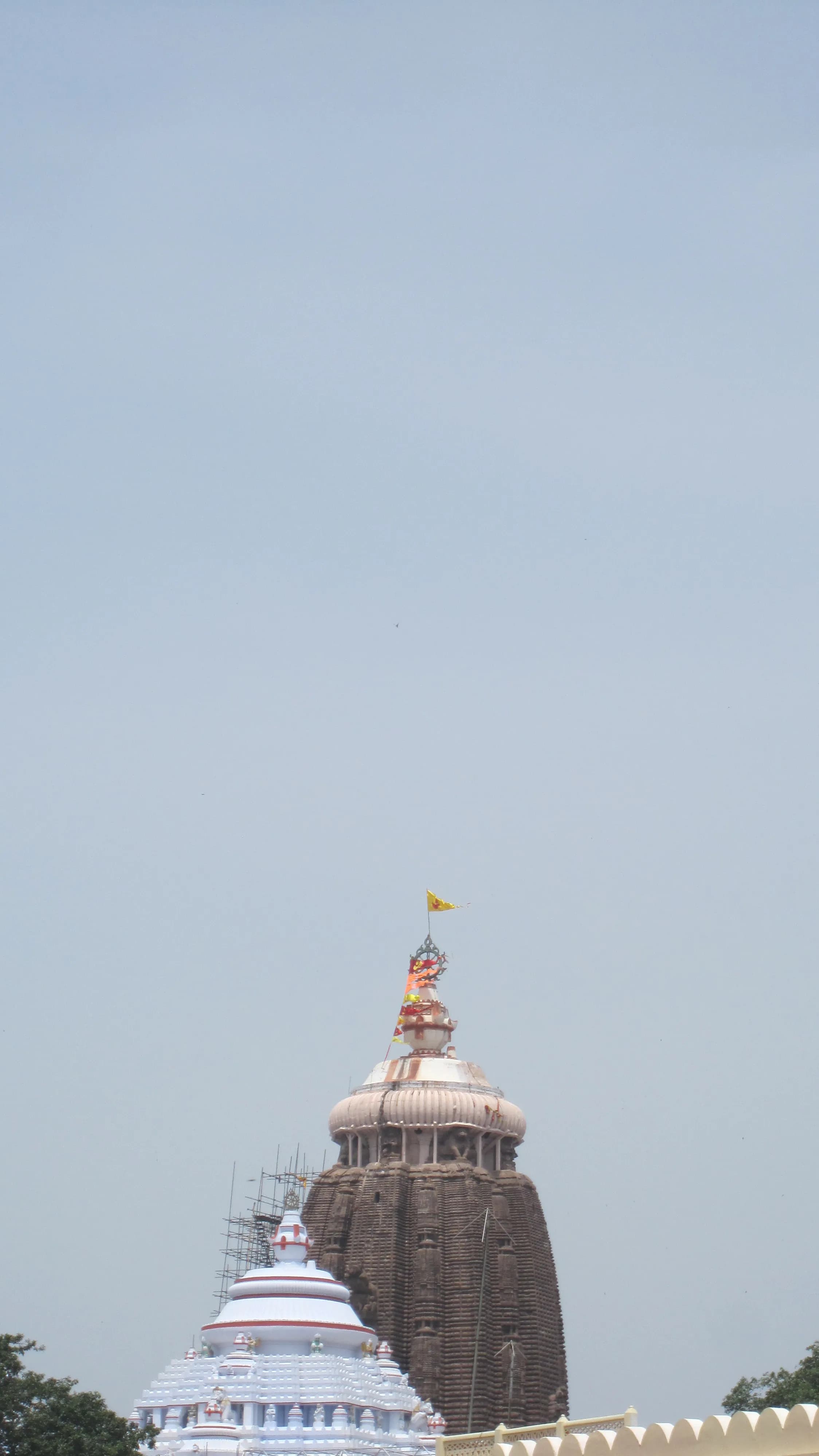 Jagannath Temple Puri - Image 4