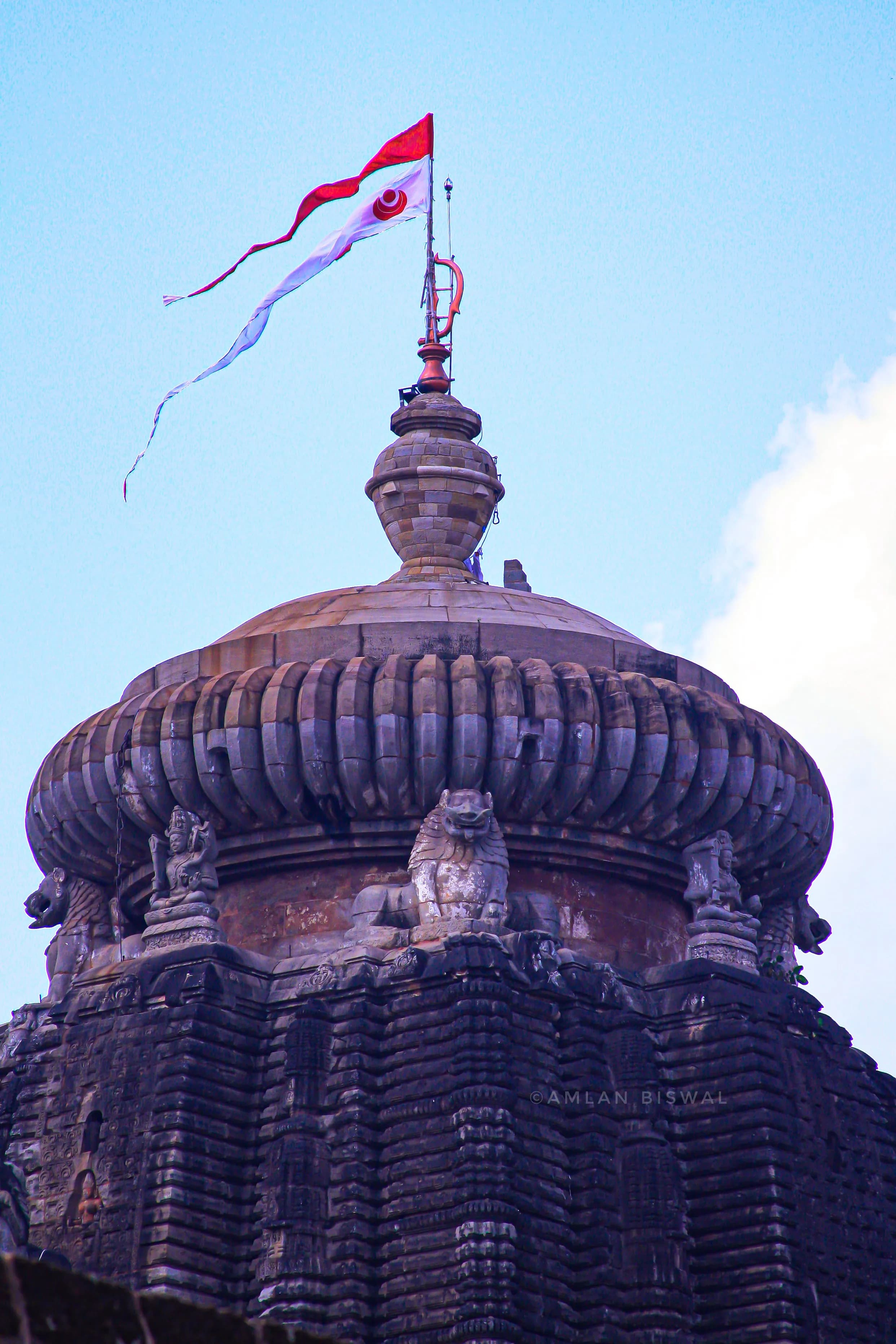 Lingaraj Temple Bhubaneswar - Image 3