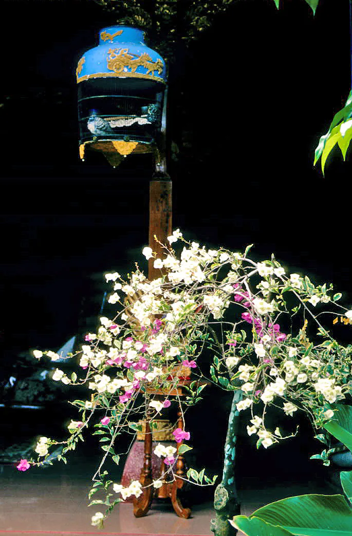 Puri Palace Puri - Image 16