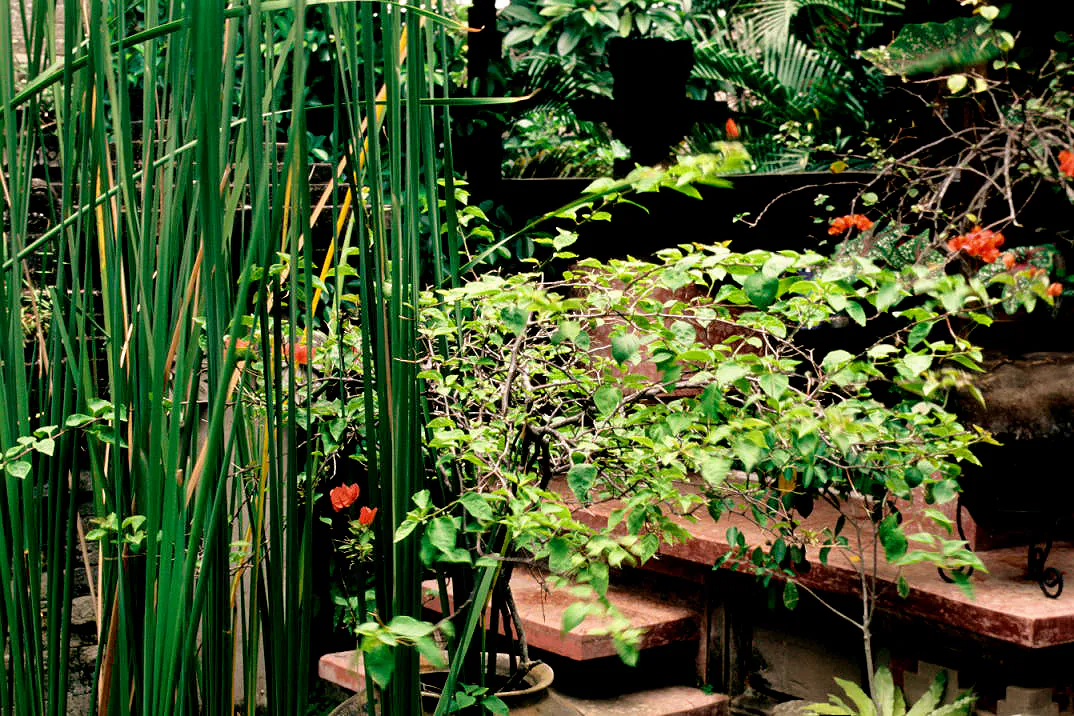 Puri Palace Puri - Image 17