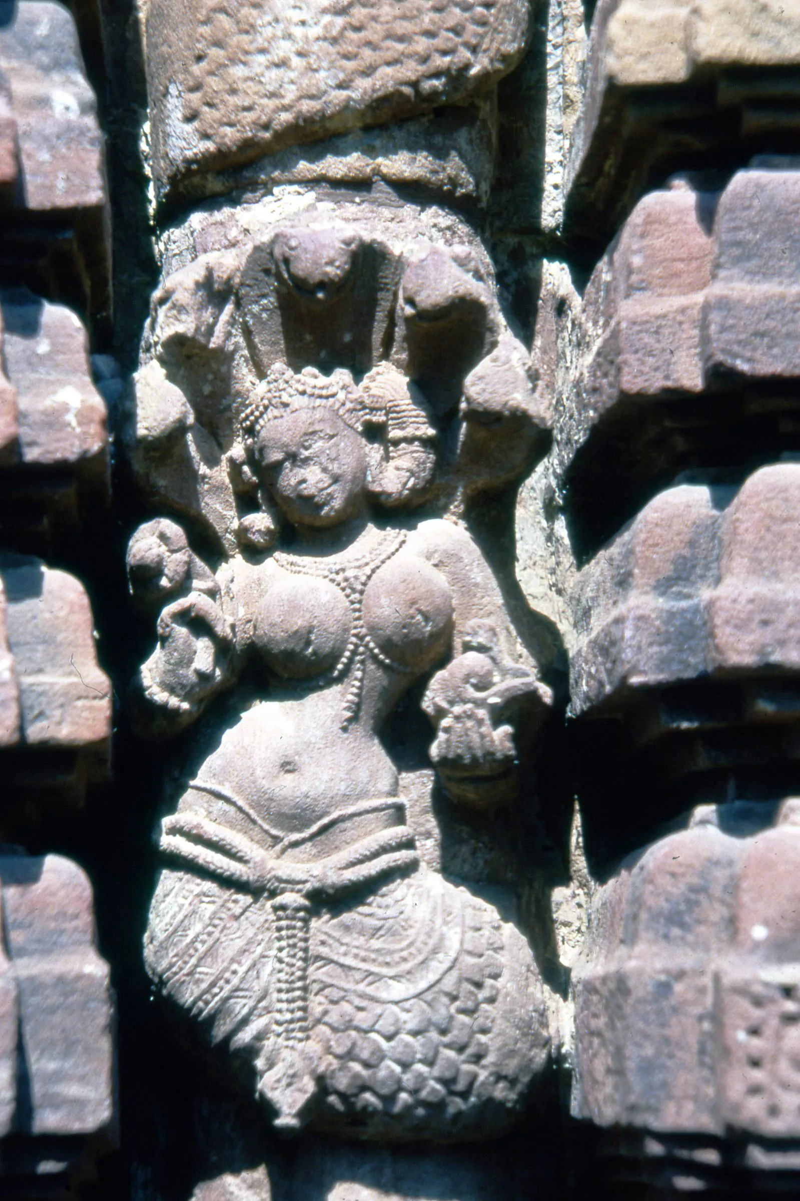 Rajarani Temple Bhubaneswar - Image 31