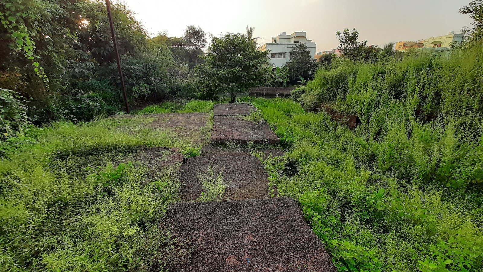 Volunteer at Sisupalgarh Fort Bhubaneswar