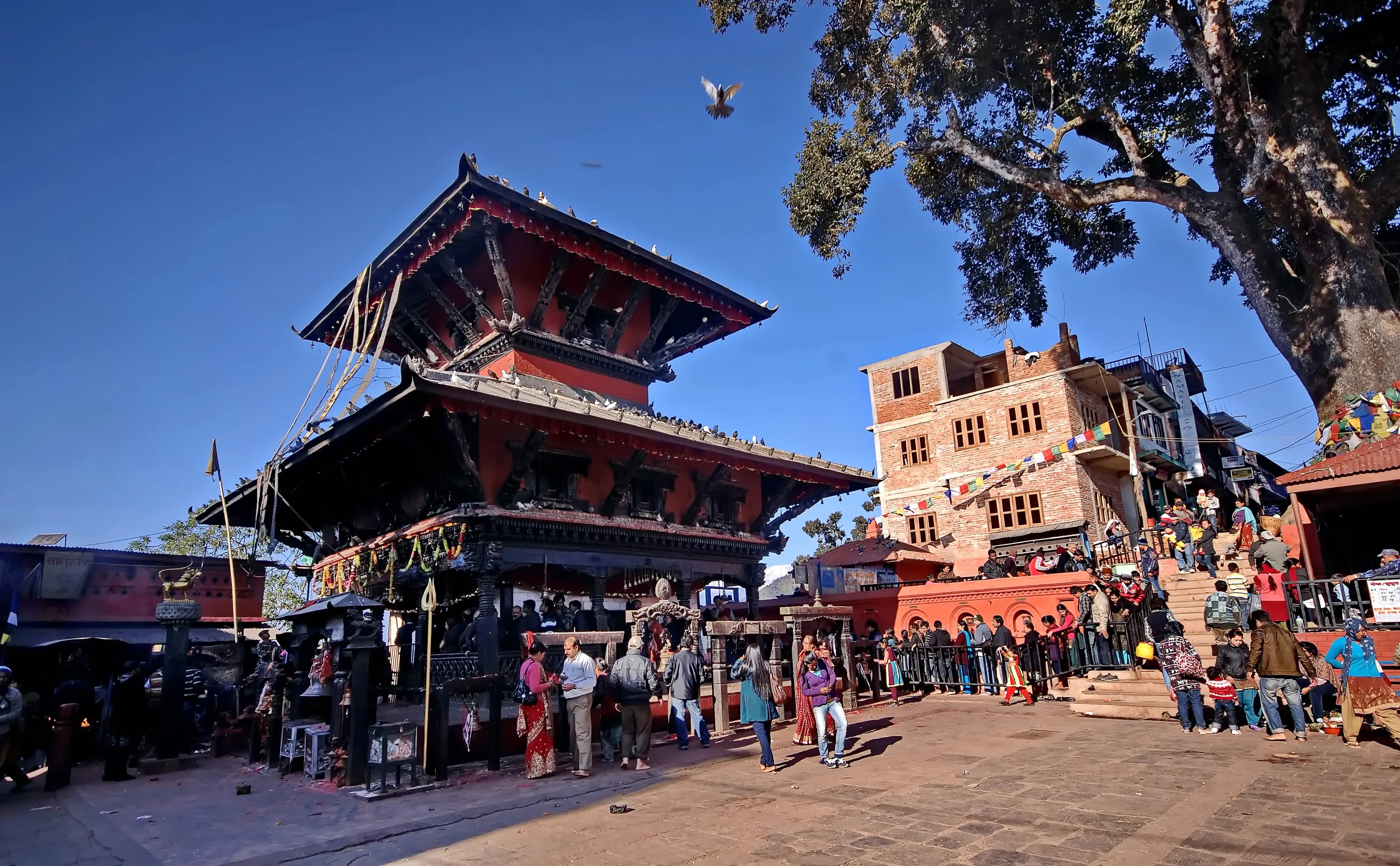 Help preserve Jayanti Devi Temple Ropar