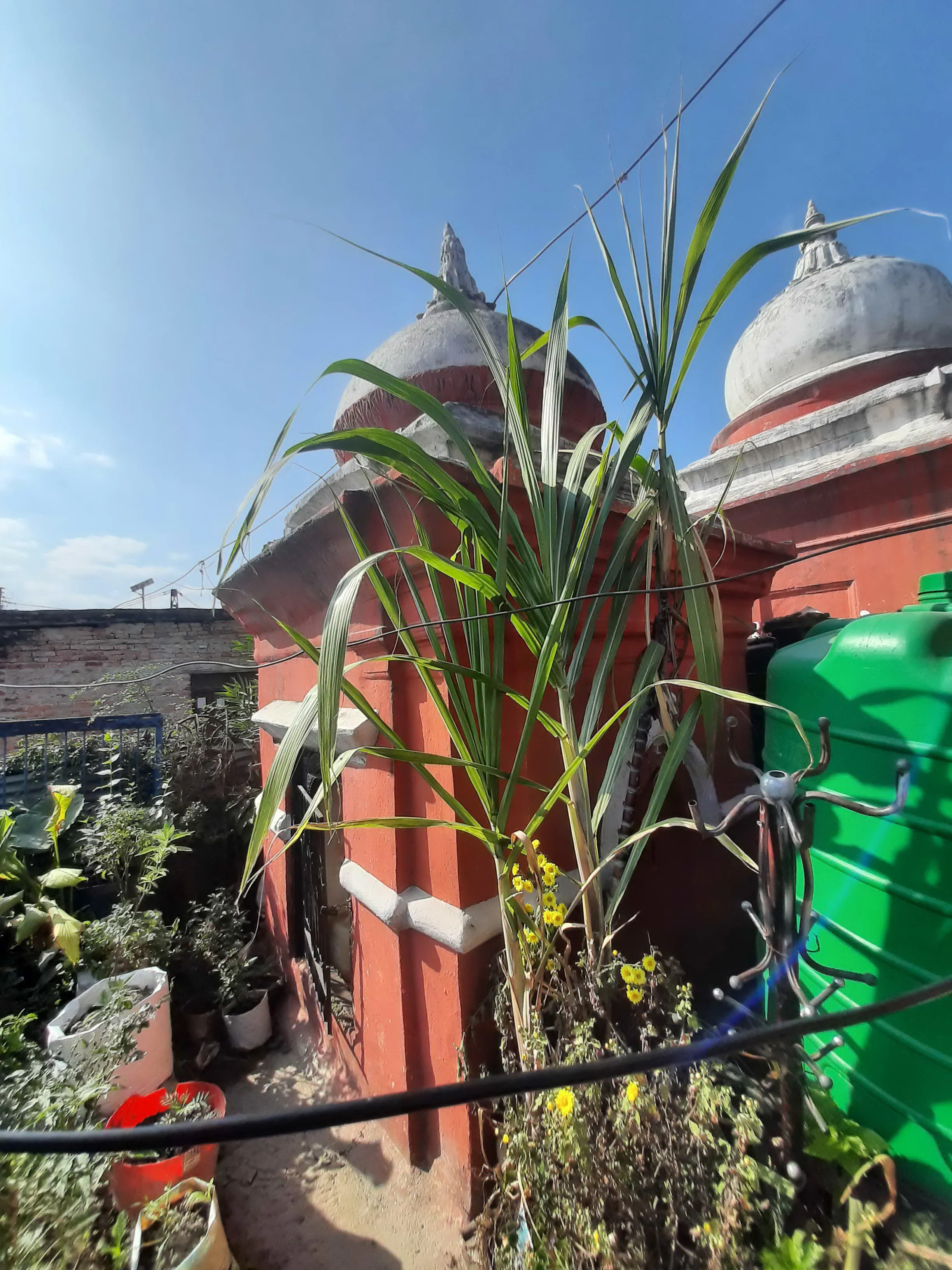 Mukteshwar Mahadev Temple Pathankot - Image 2