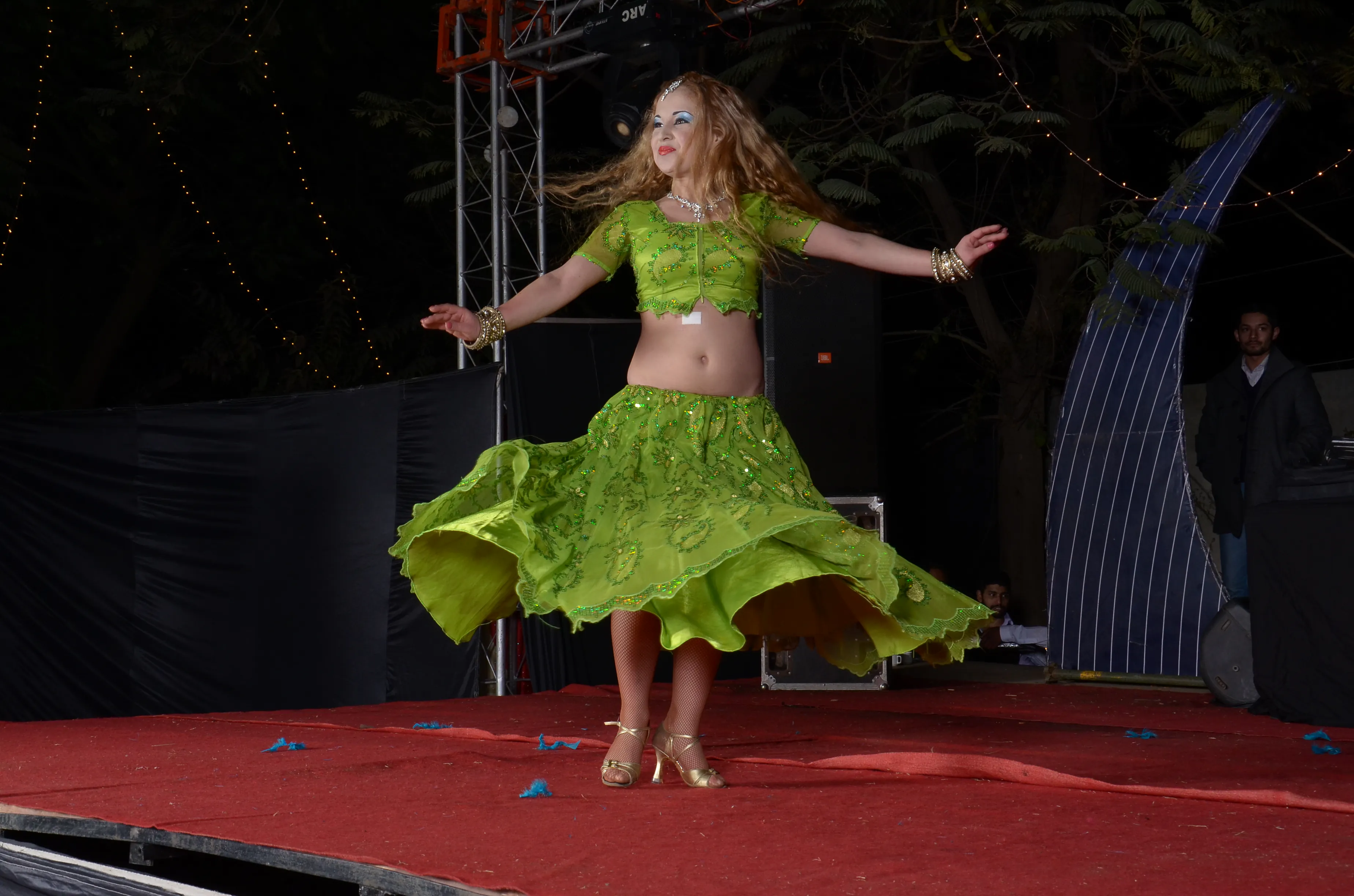 Preserve Qila Mubarak Patiala Heritage Site - Image 2