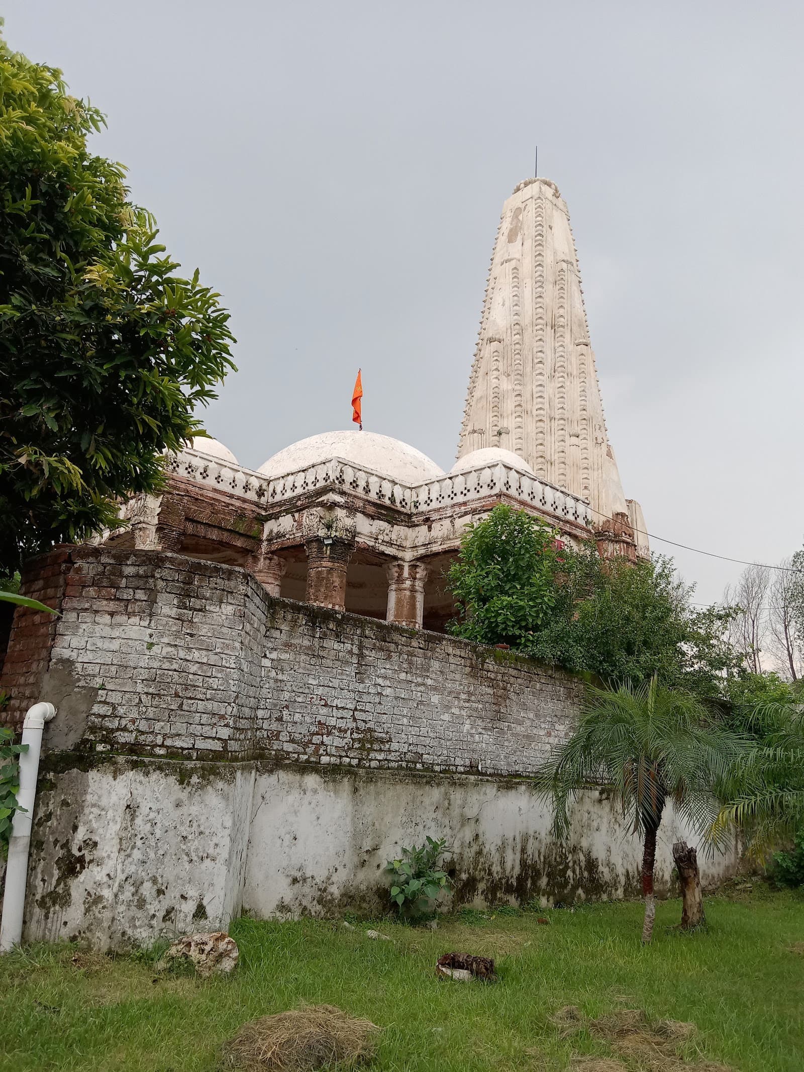 Volunteer at Shawala Teja Singh Temple Sialkot Punjab