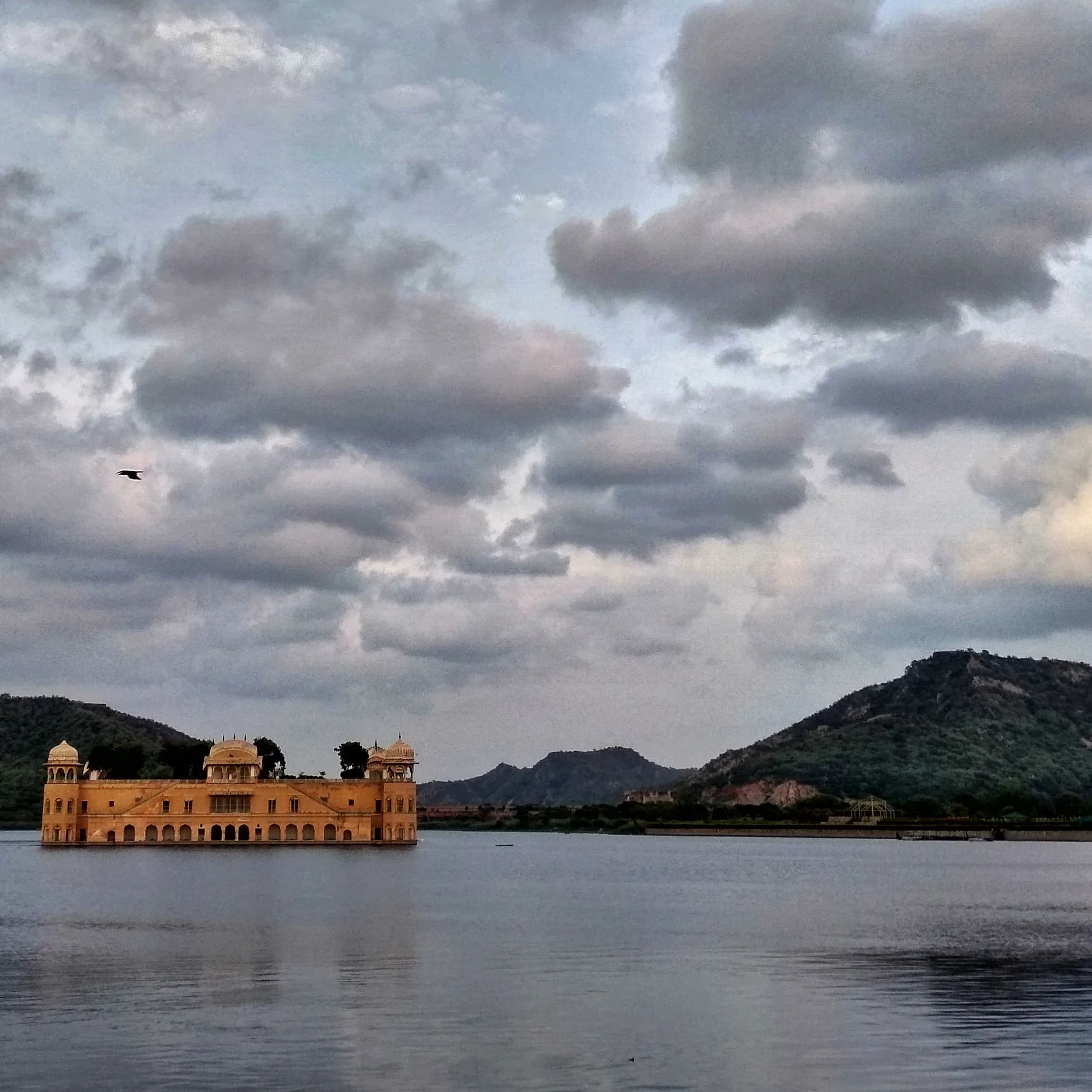 Help preserve Jal Mahal Jaipur