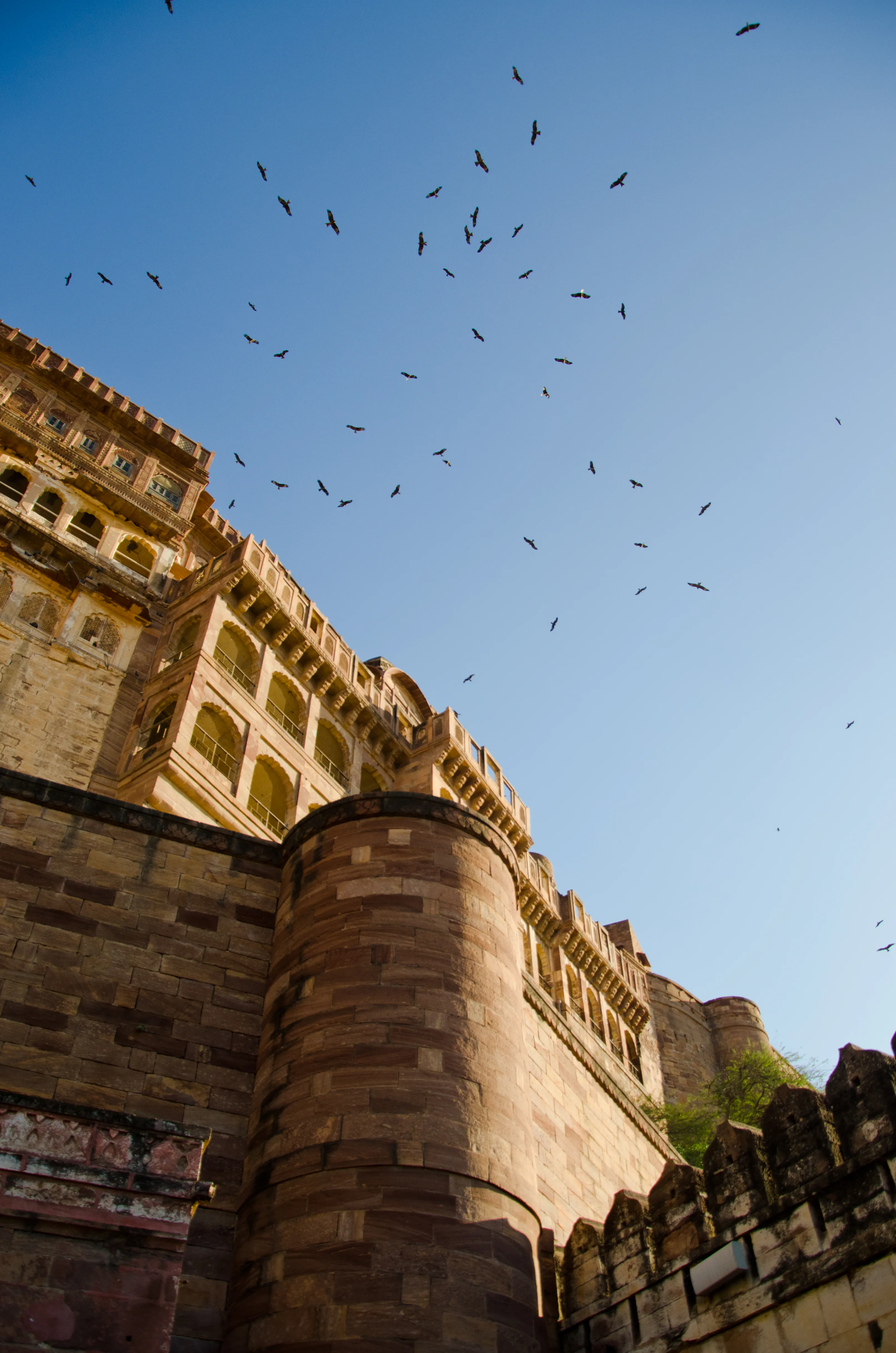 Mehrangarh Fort Jodhpur - Image 10