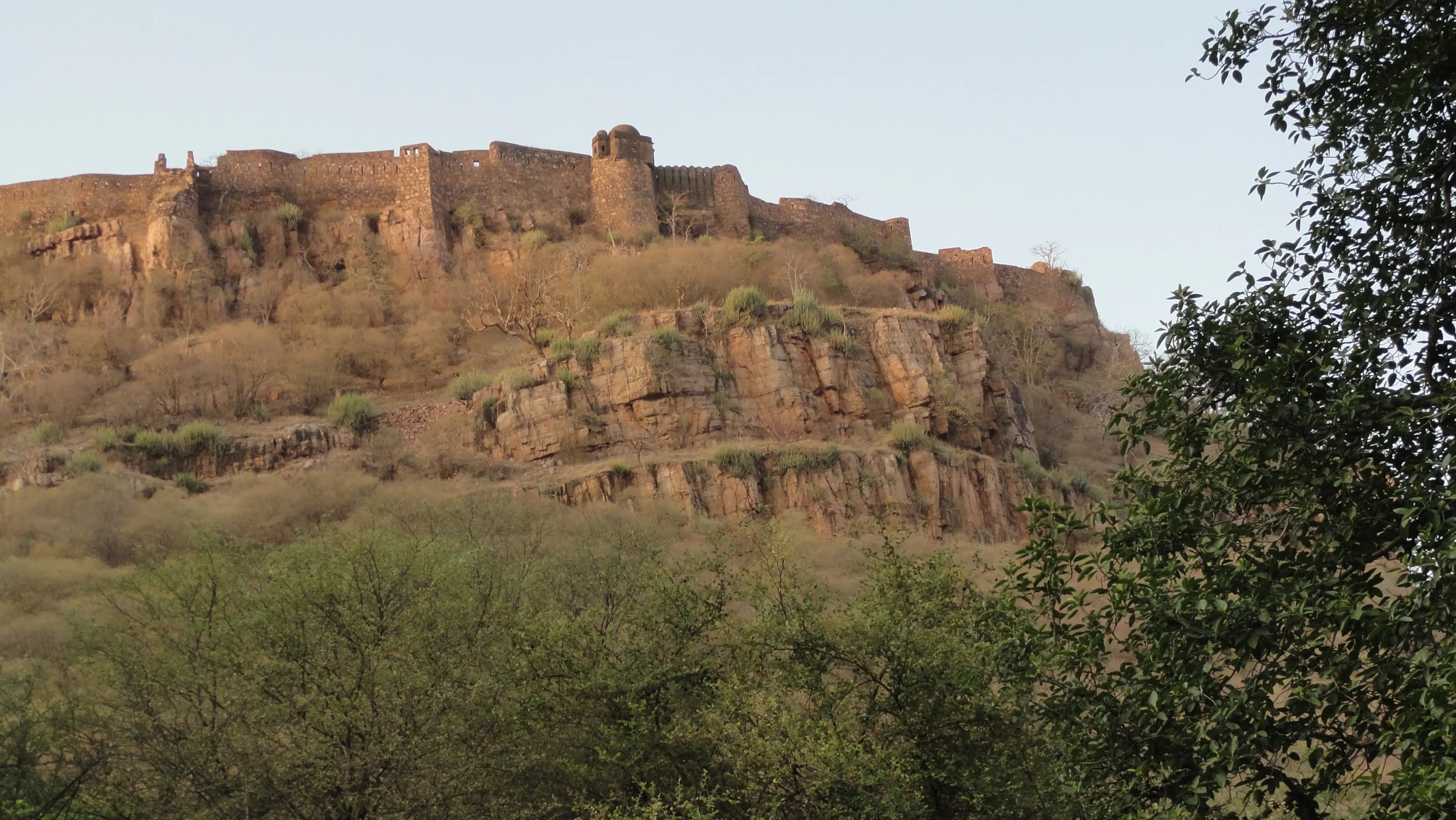 Help preserve Ranthambore Fort Sawai Madhopur