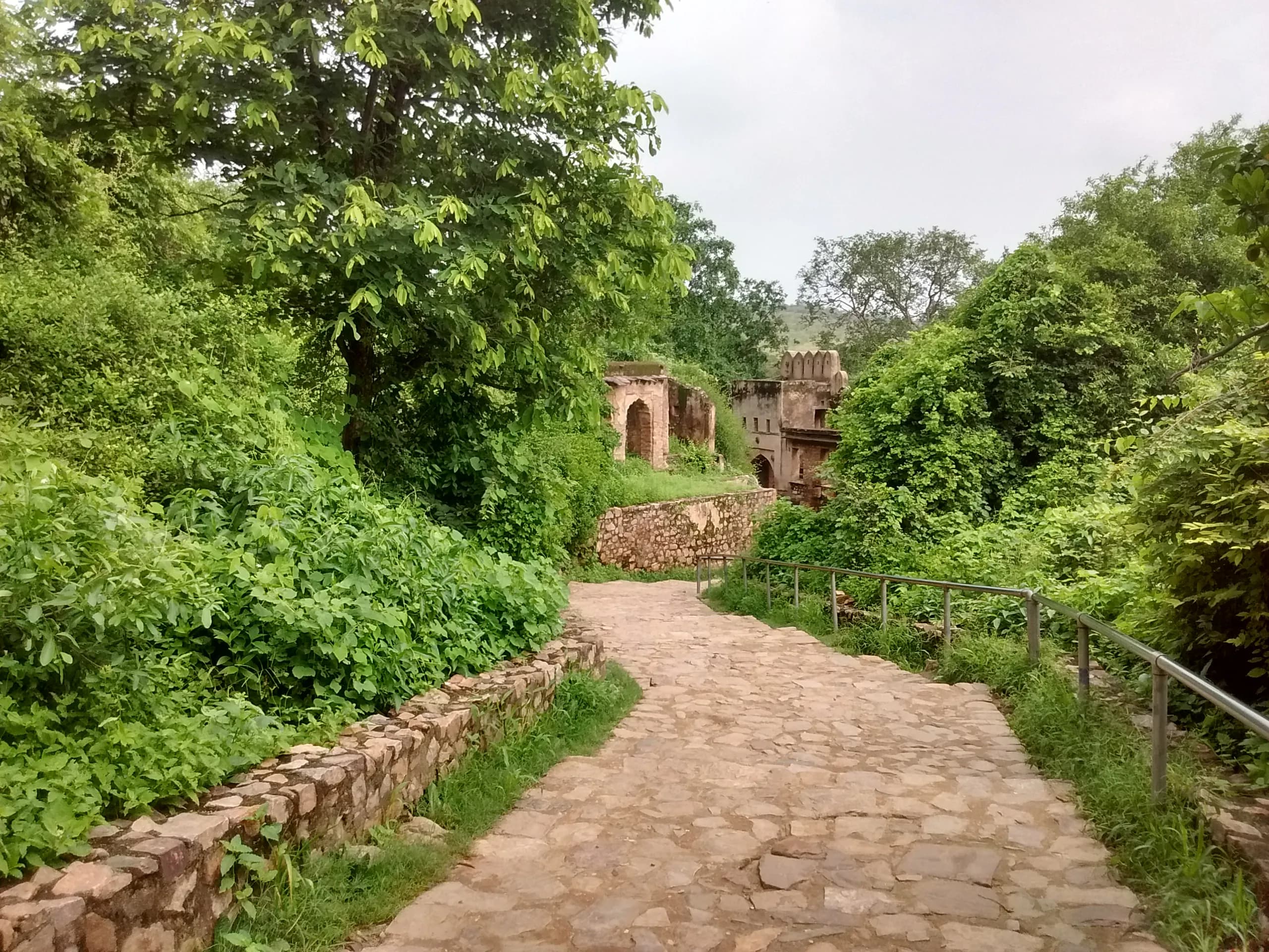 Preserve Ranthambore Fort Sawai Madhopur Heritage Site - Image 4