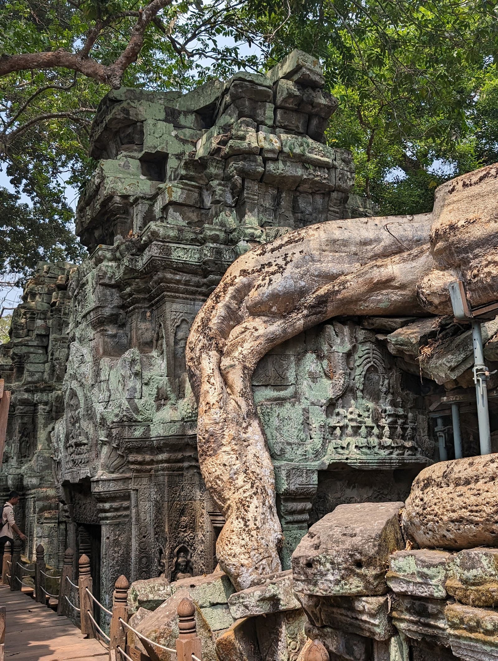 Ta Prohm, dramatically enveloped by the Cambodian jungle with massive tree roots intertwining with ancient stone structures, represents one of the most atmospheric and visually striking temple complex...