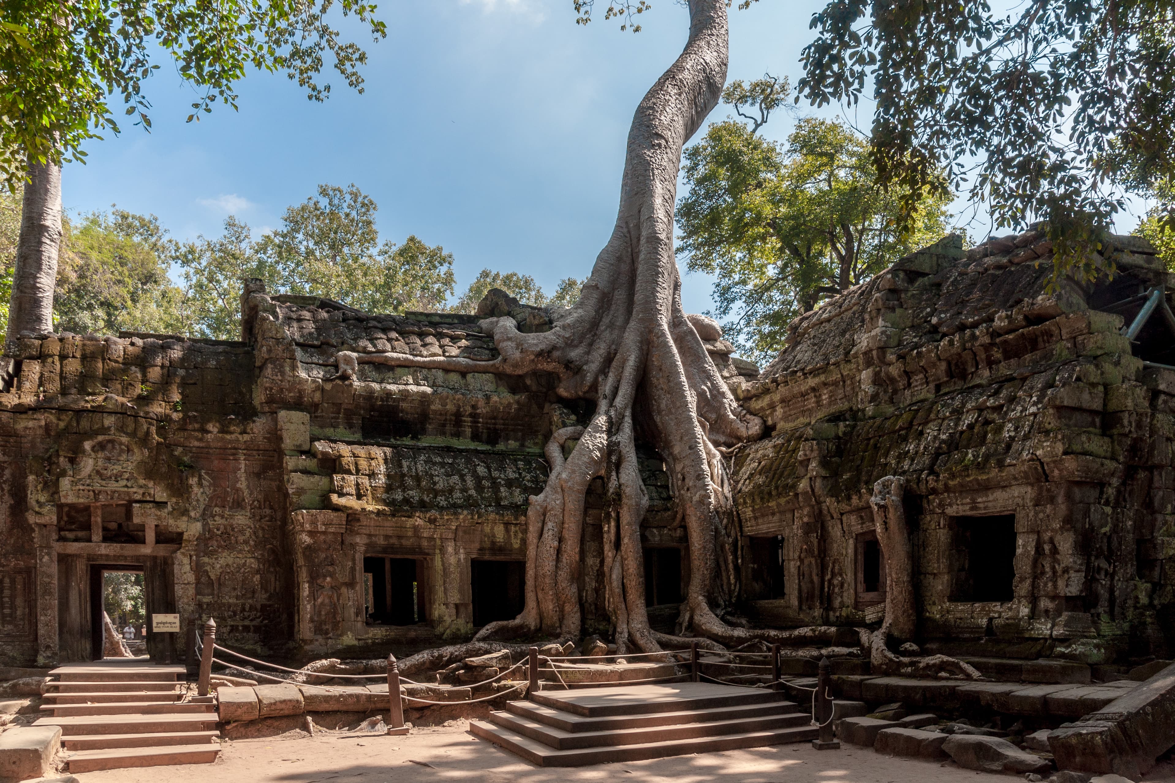 Volunteer at Ta Prohm Siem Reap Cambodia