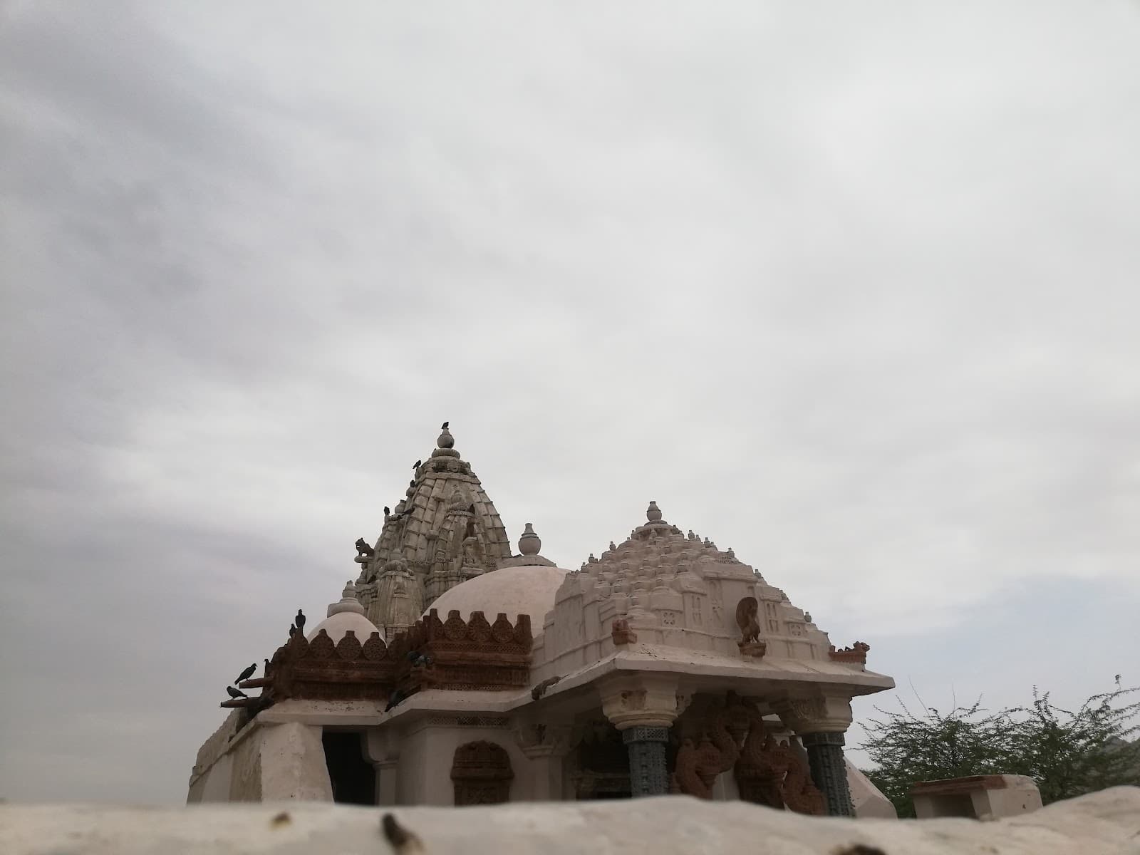 Volunteer at Jain Temple Nagarparkar Tharparkar