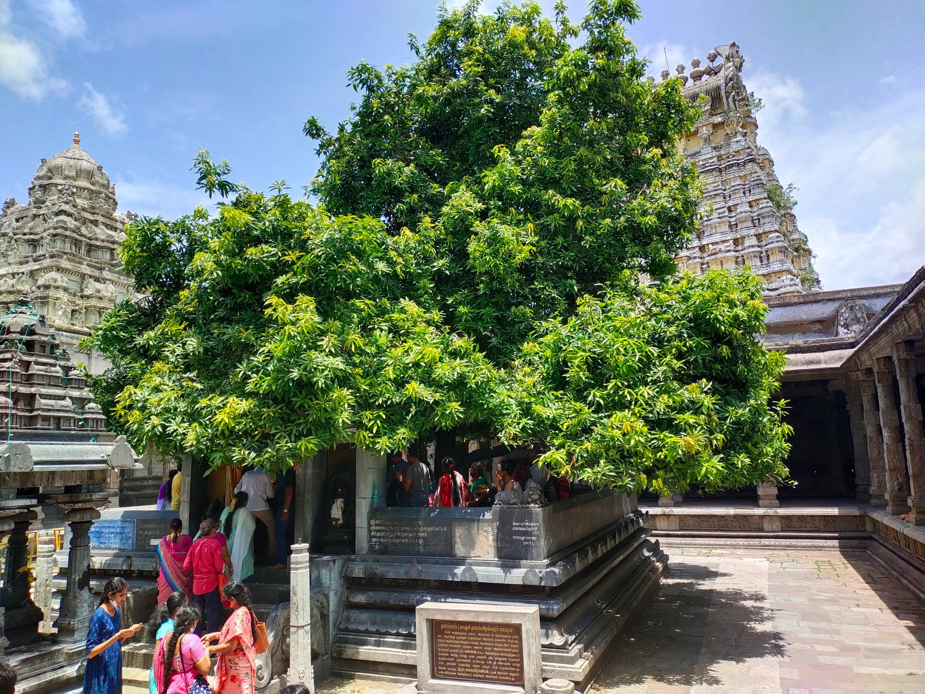 Ekambareswarar Temple Kanchipuram - Image 6