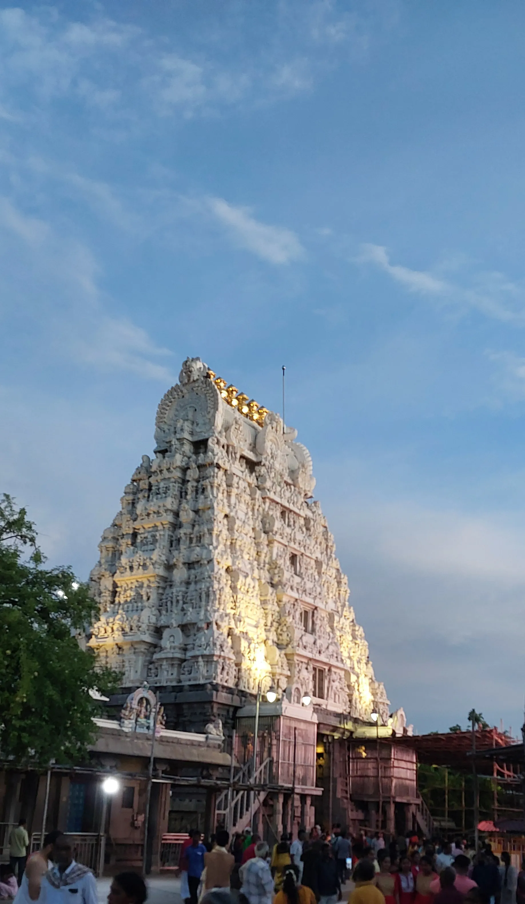 Kamakshi Amman Temple Kanchipuram - Image 7