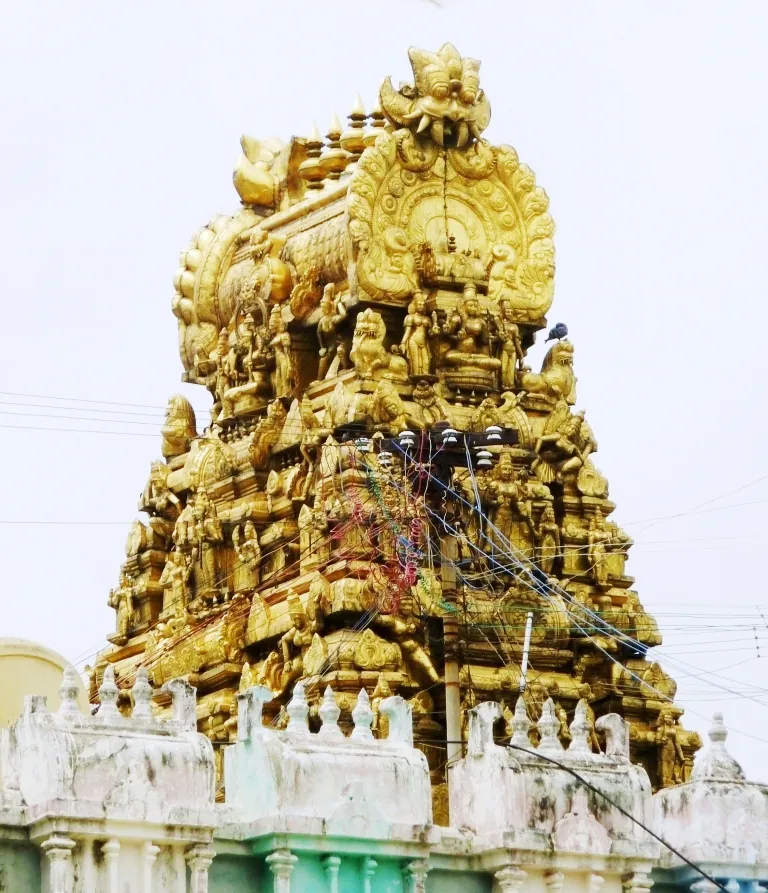 Kamakshi Amman Temple Kanchipuram - Image 24