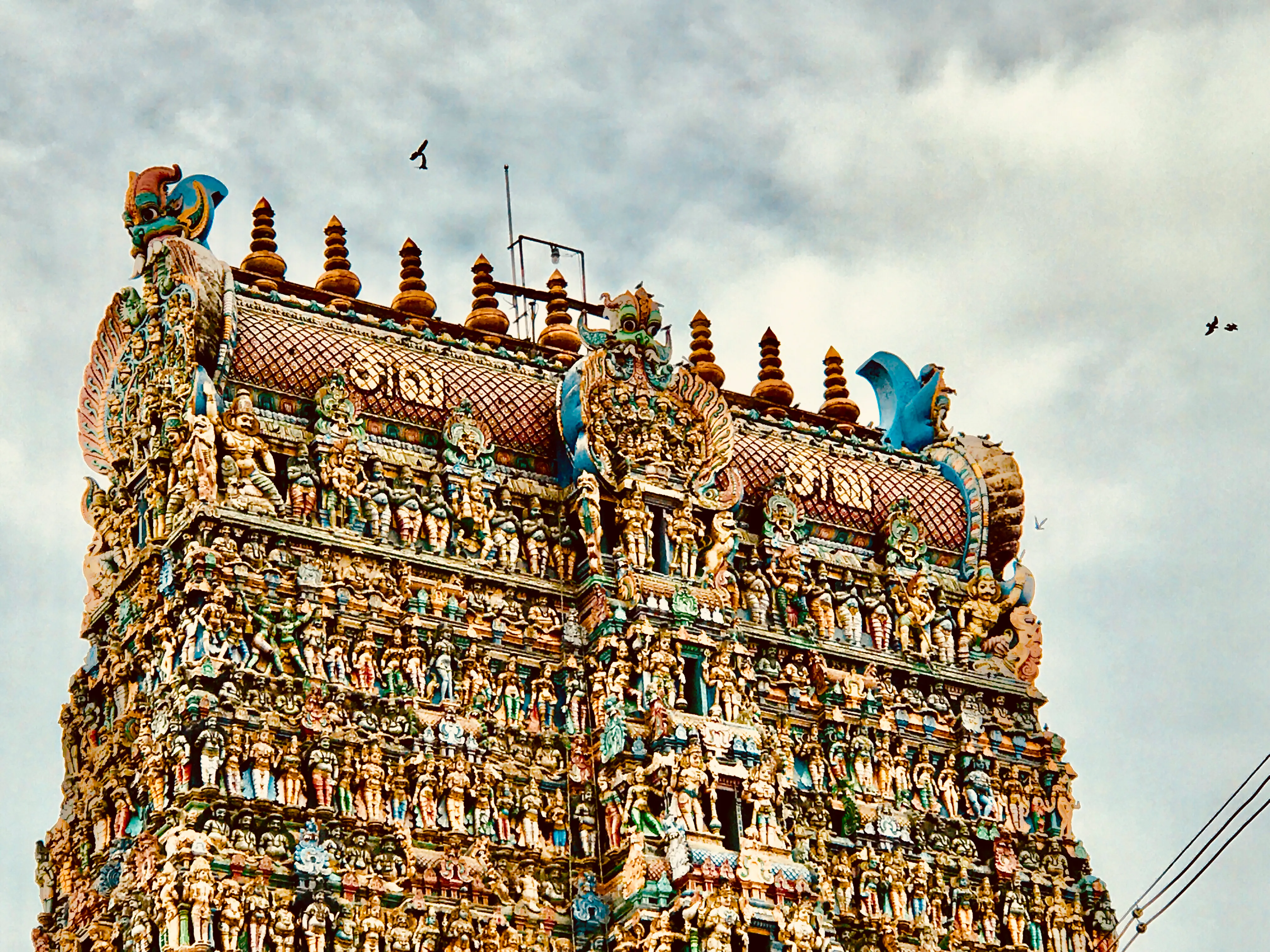 Meenakshi Amman Temple Madurai - Image 16