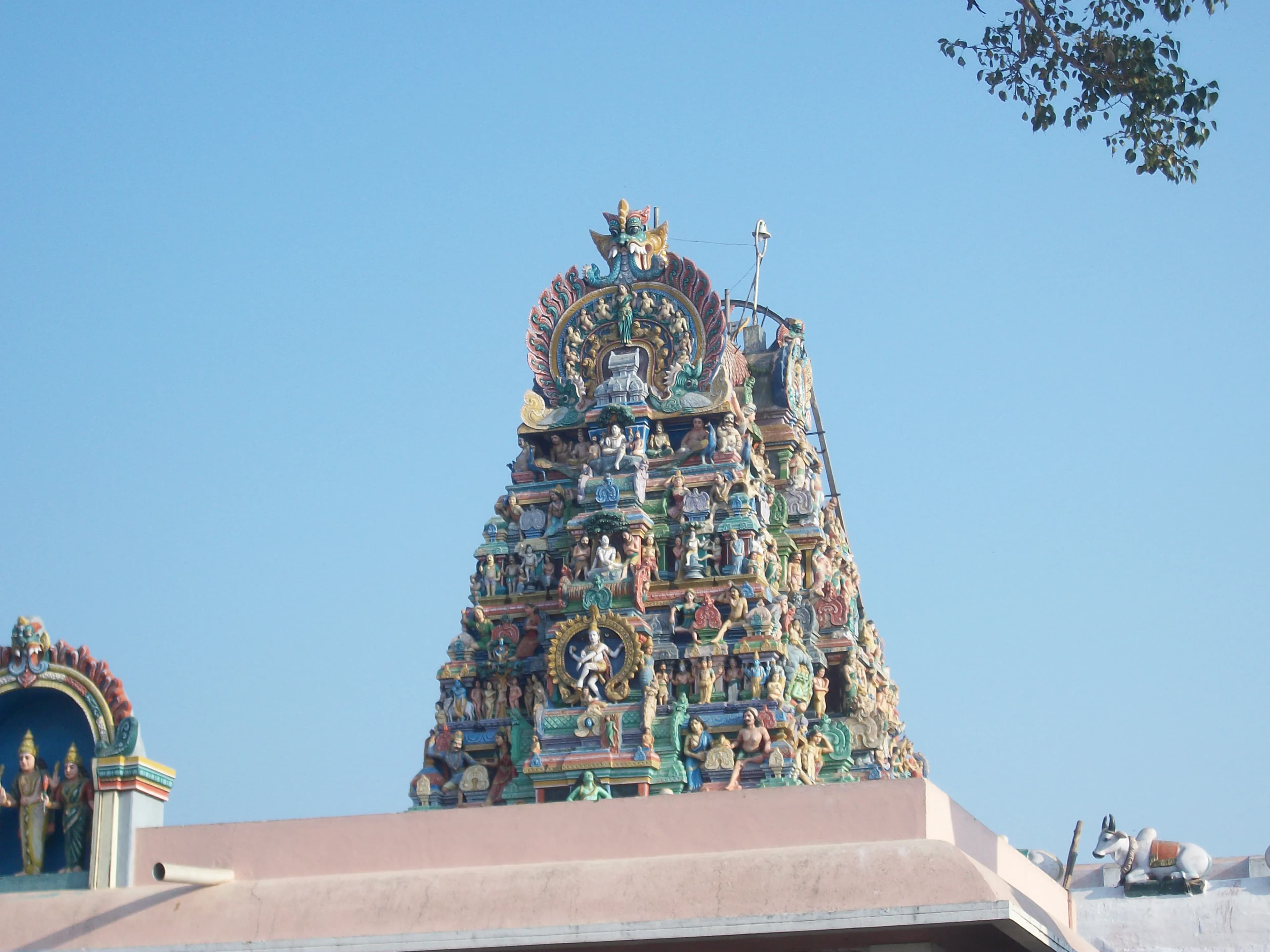 Palani Murugan Temple Palani