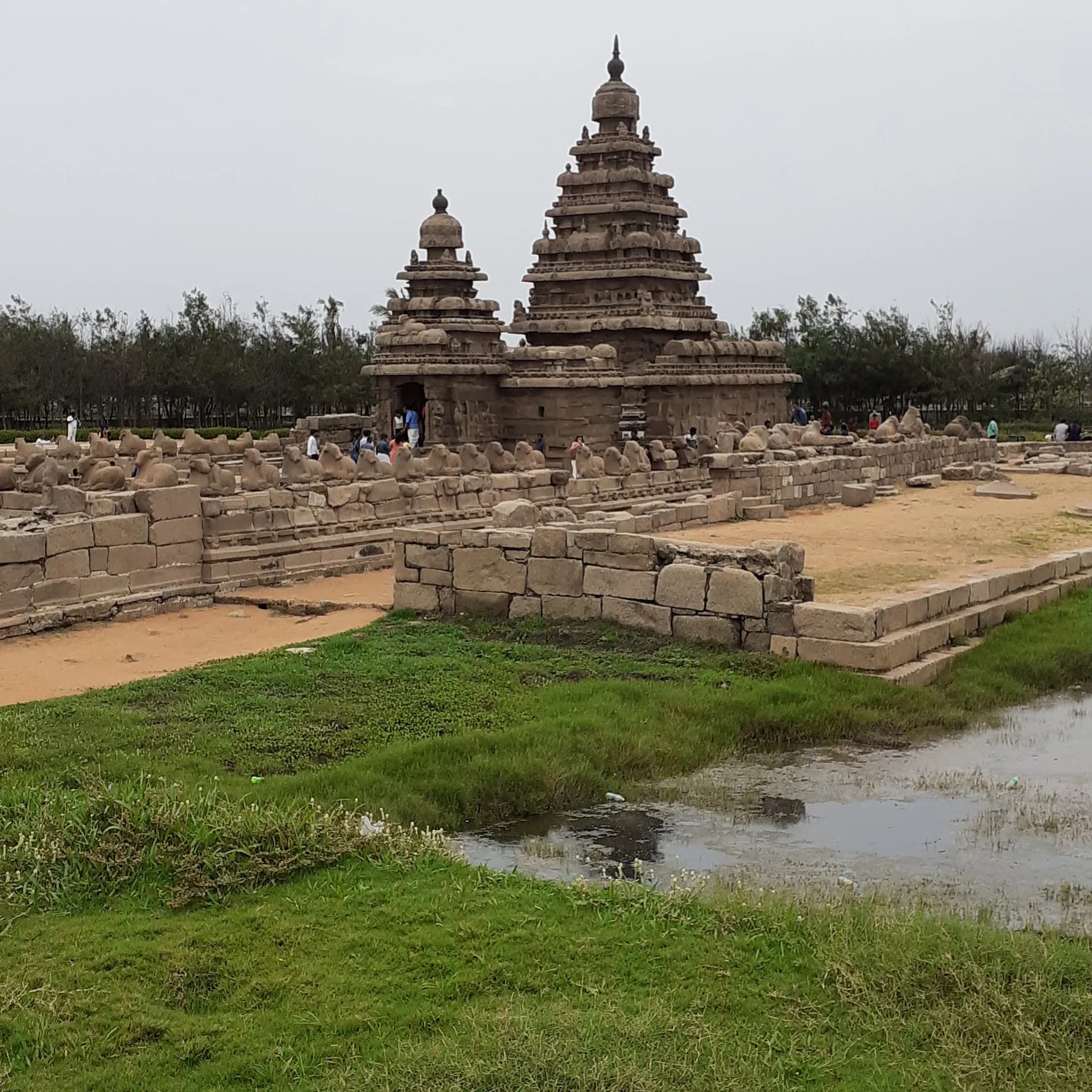 Shore Temple Mahabalipuram - Image 3