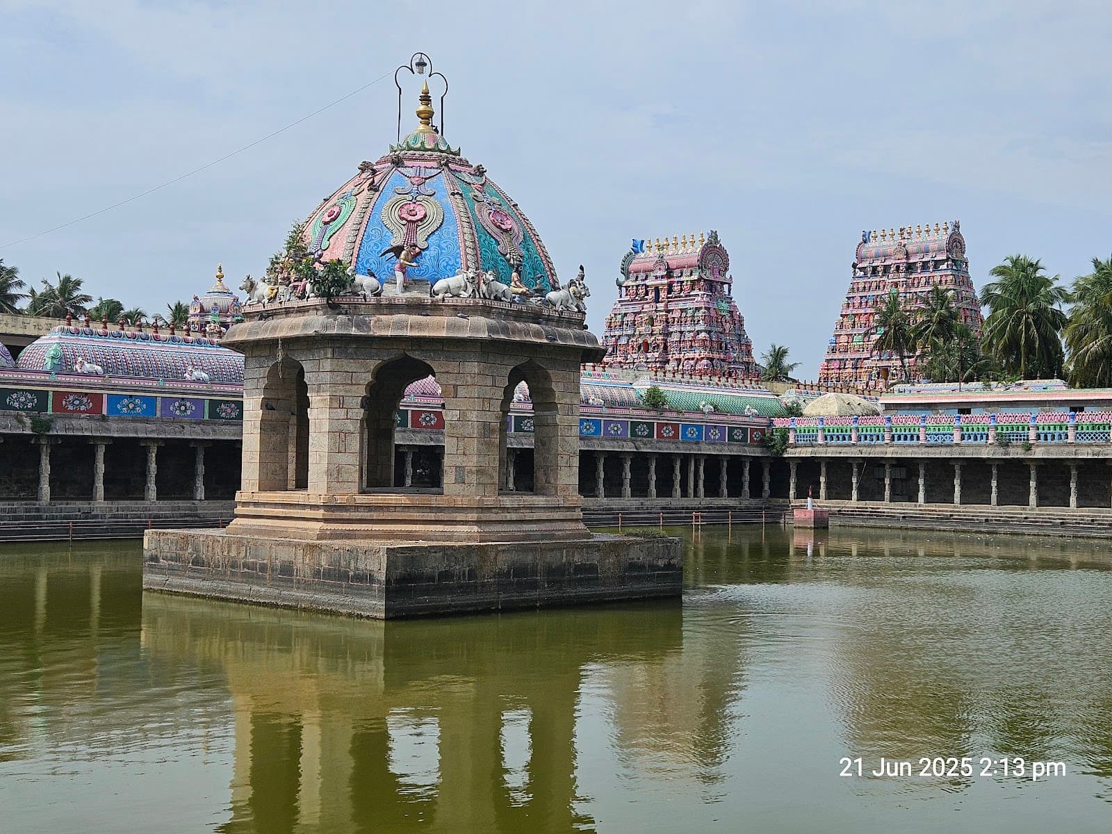 Volunteer at Vaitheeswaran Koil