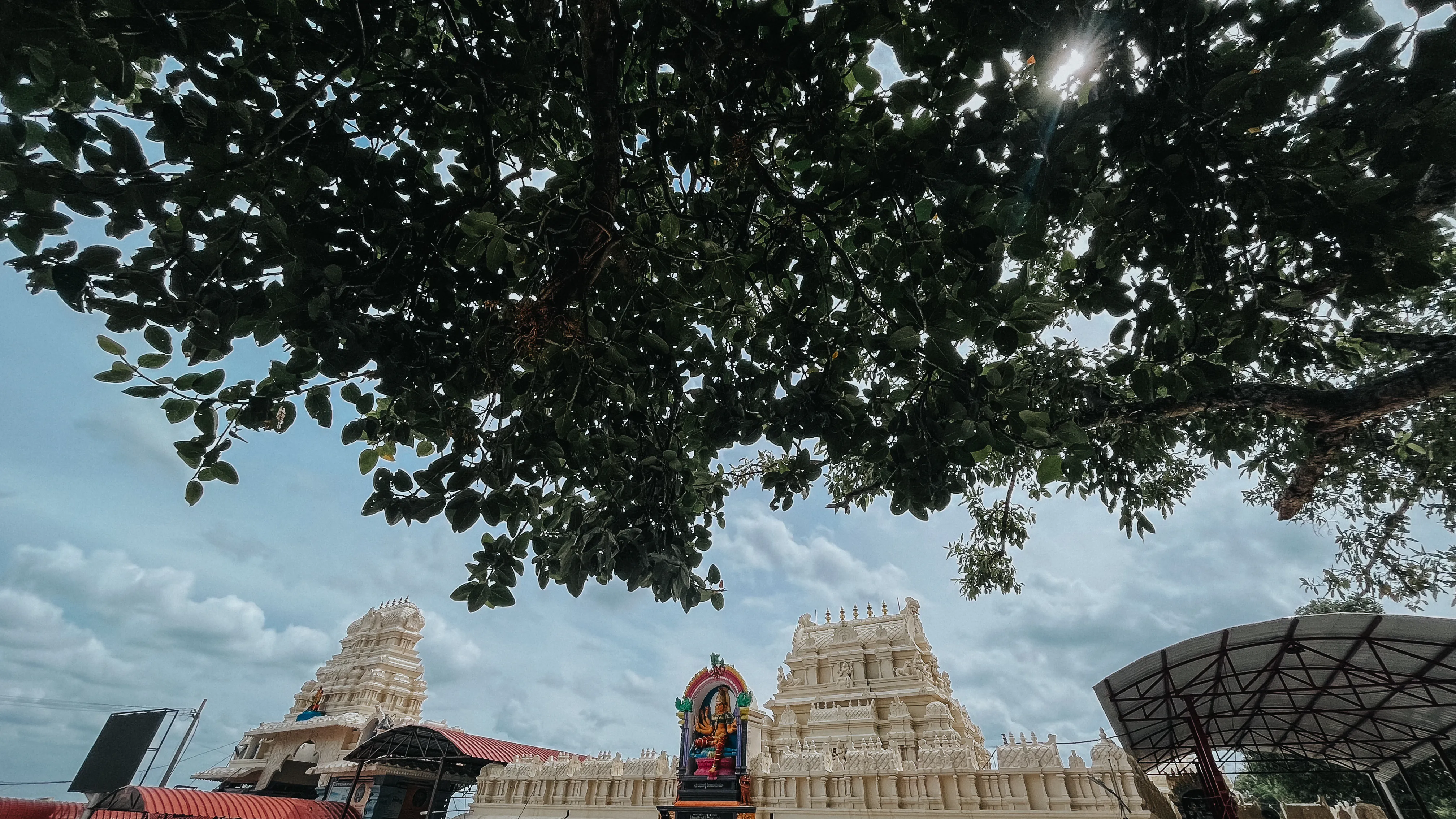 Bhadrakali Temple Warangal - Image 16