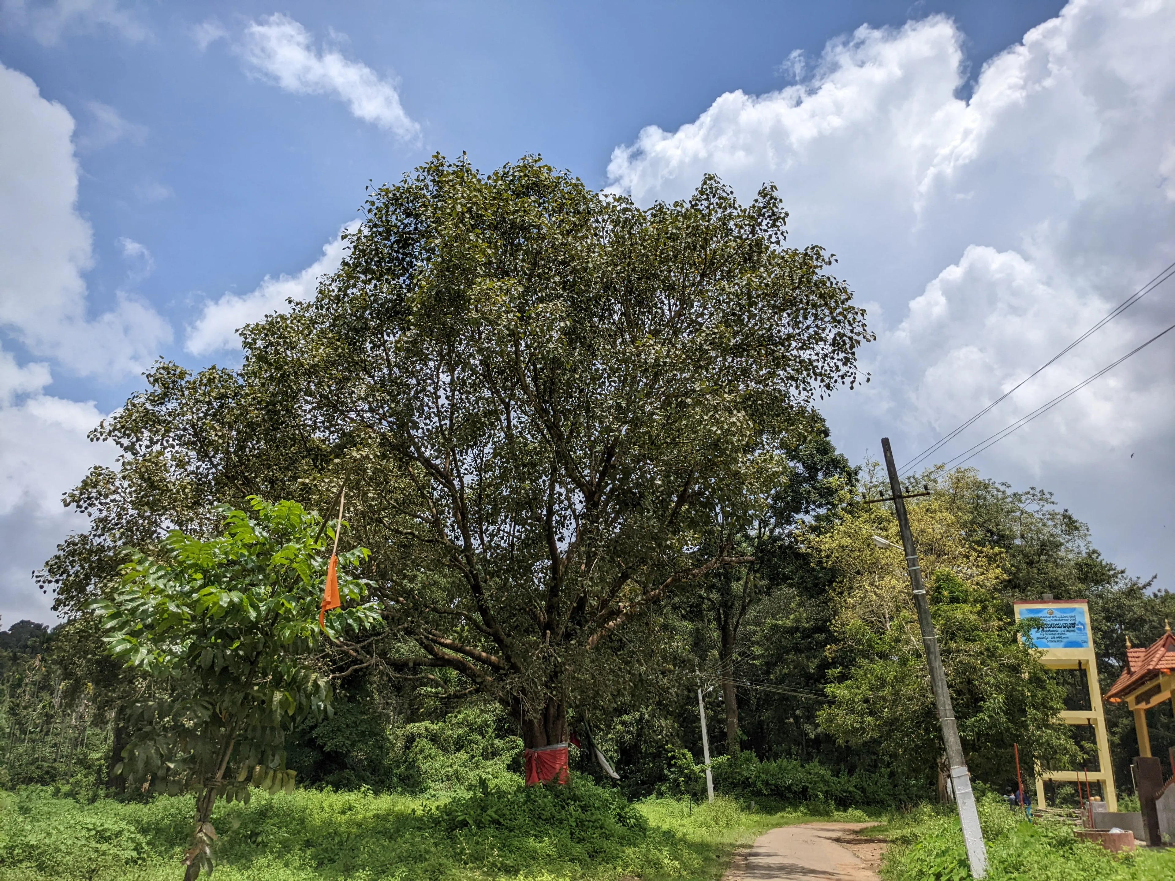 Bhadrakali Temple Warangal - Image 20