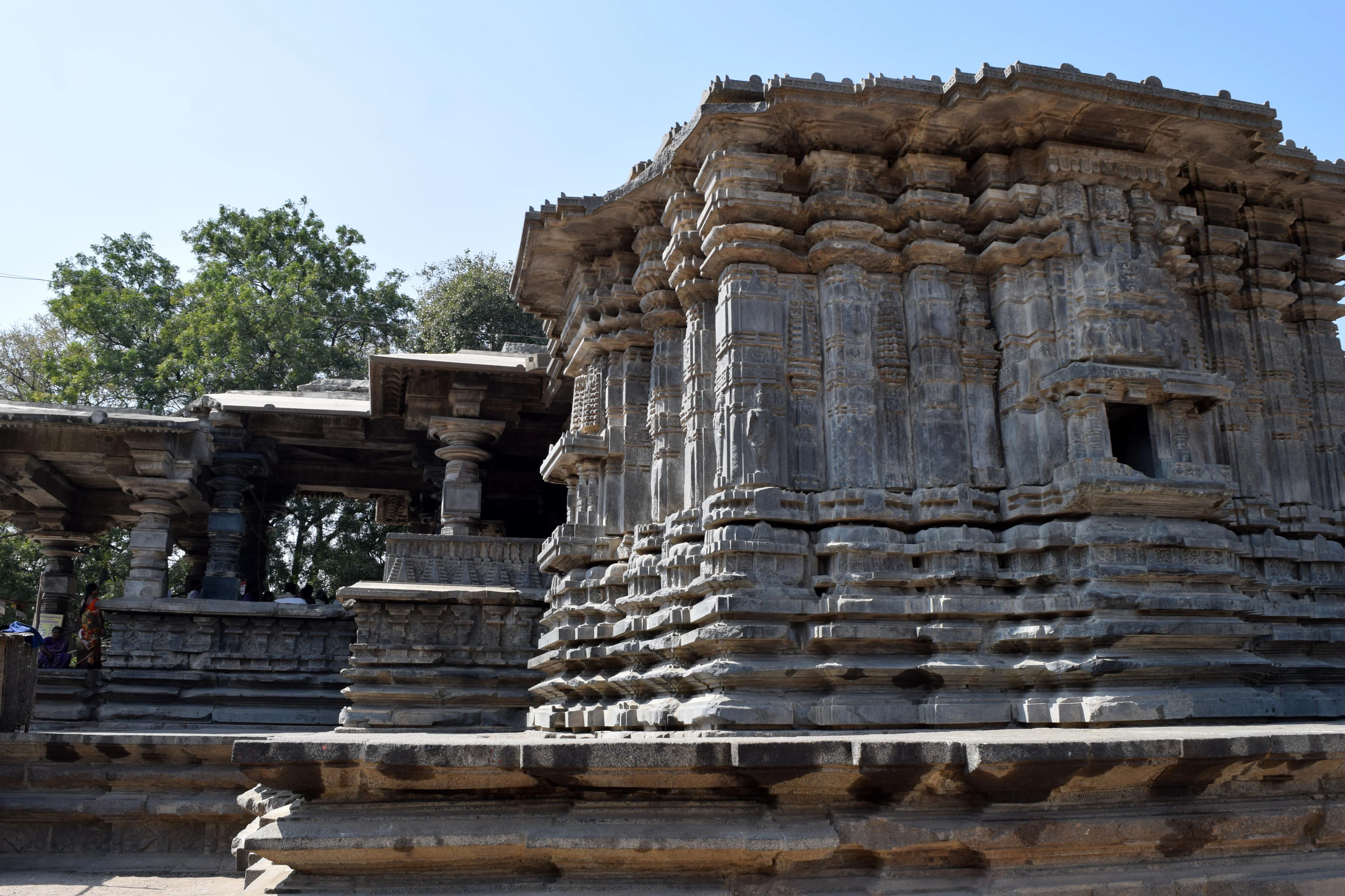 Preserve Thousand Pillar Temple Hanamkonda Heritage Site - Image 3