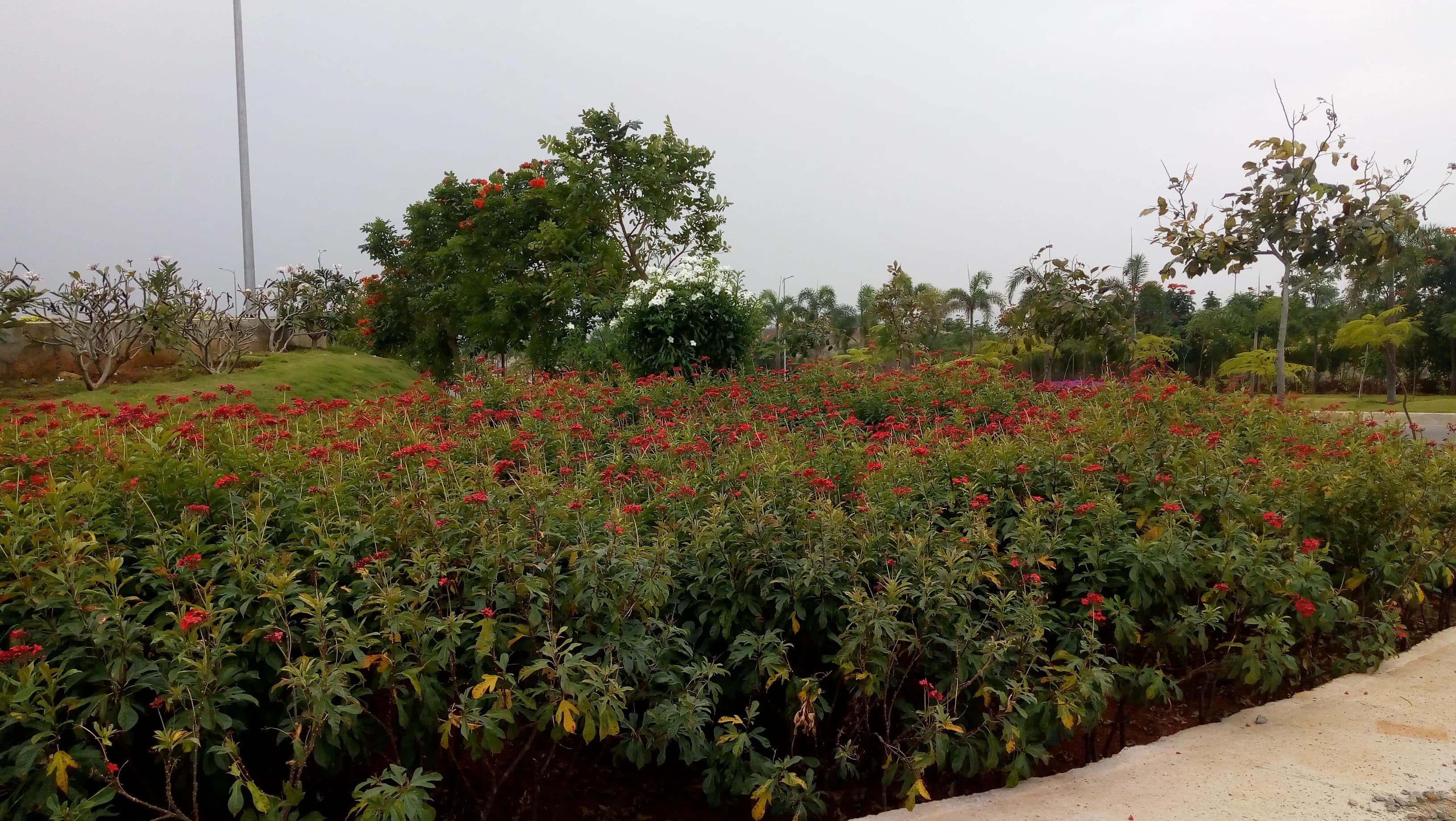 Yadagirigutta Temple Yadadri