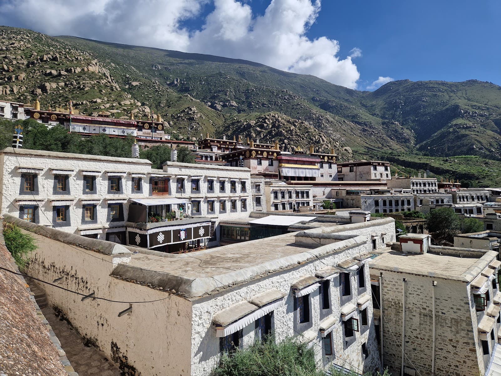 Volunteer at Drepung Monastery Lhasa Tibet