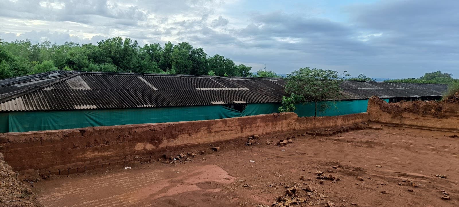 Volunteer at Mindrolling Monastery Lhoka Tibet