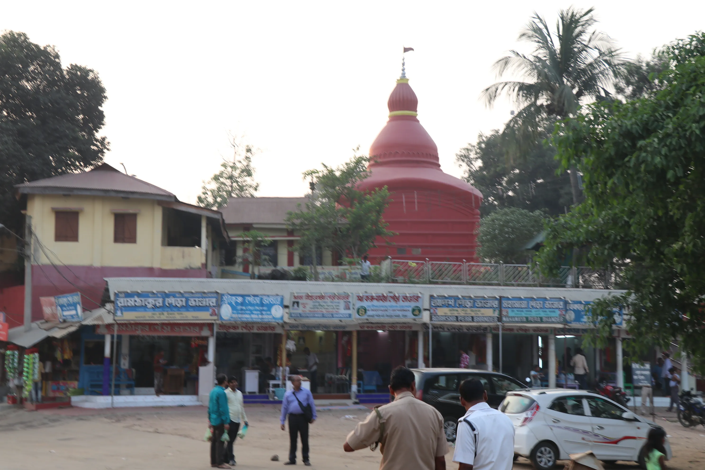 Preserve Tripura Sundari Temple Udaipur Heritage Site - Image 3