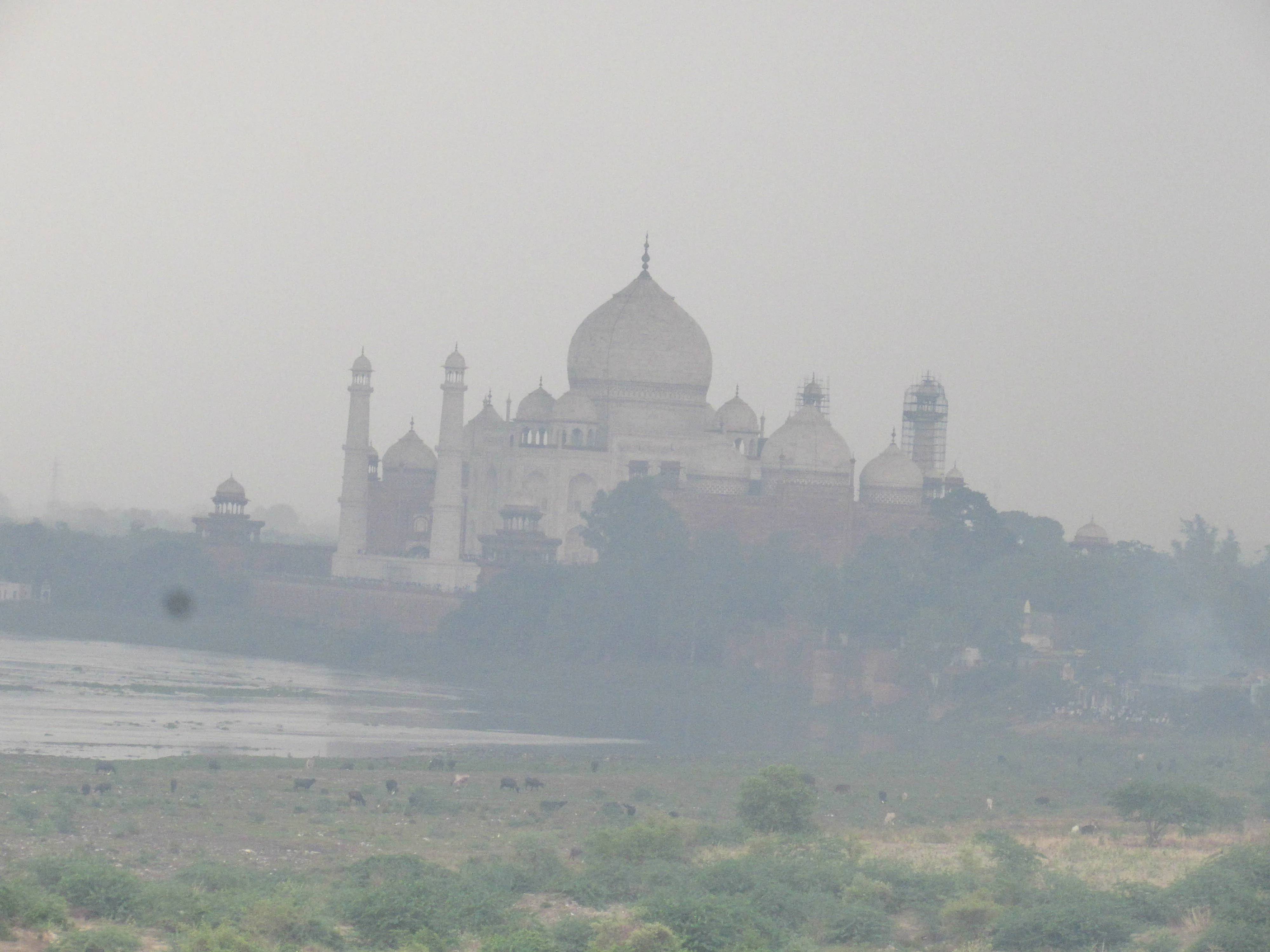 Agra Fort Agra - Image 7