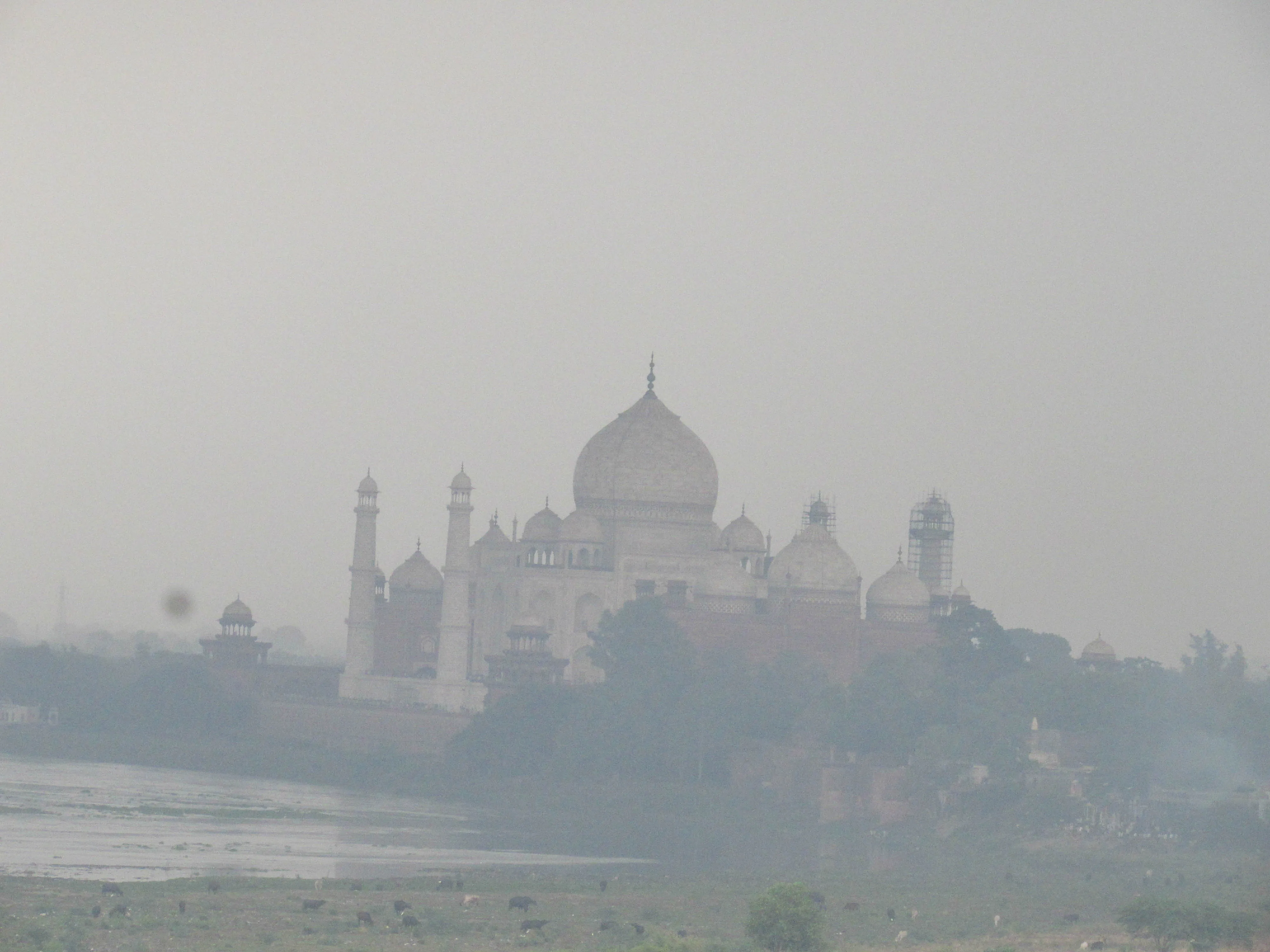 Agra Fort Agra - Image 17