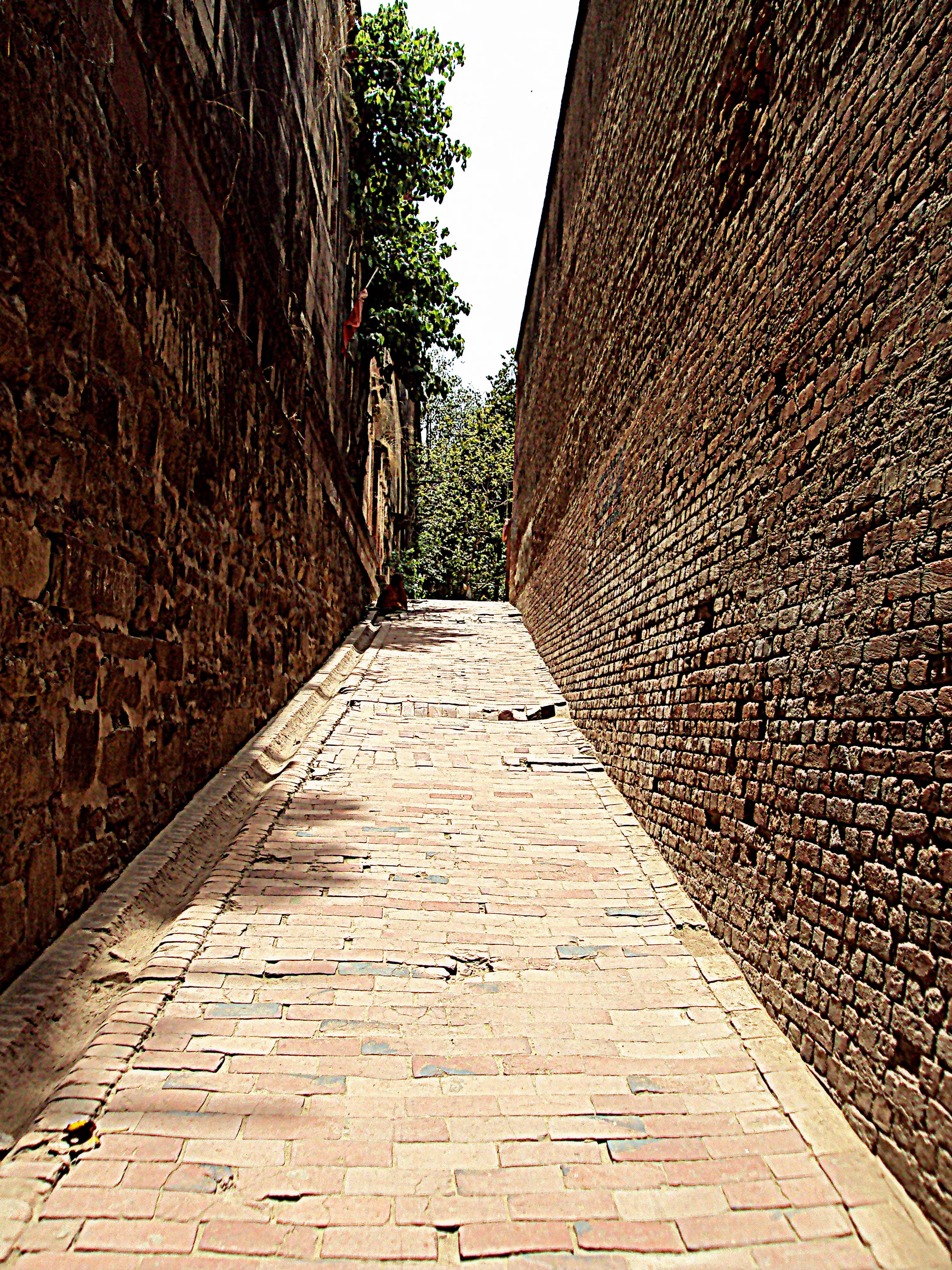 Preserve Allahabad Fort Prayagraj Heritage Site - Image 2