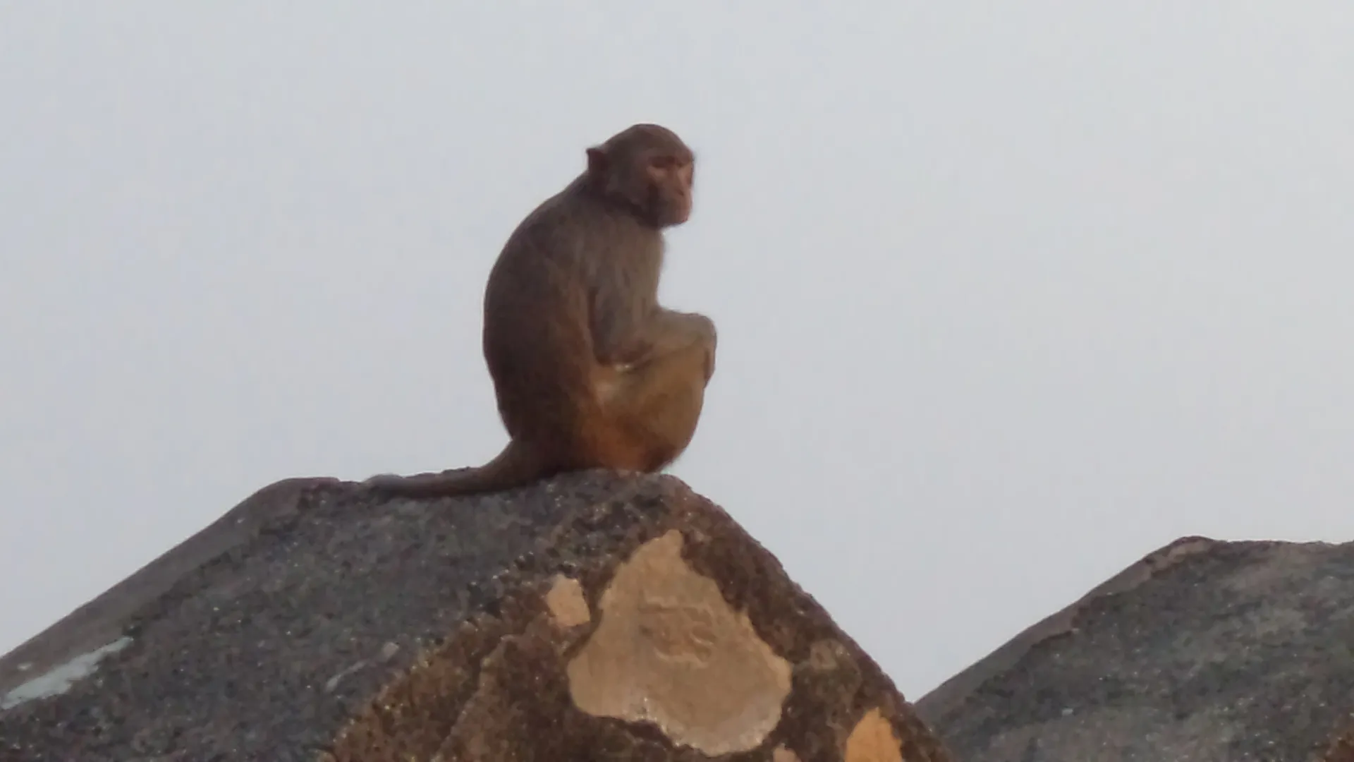 Jhansi Fort Jhansi - Image 18