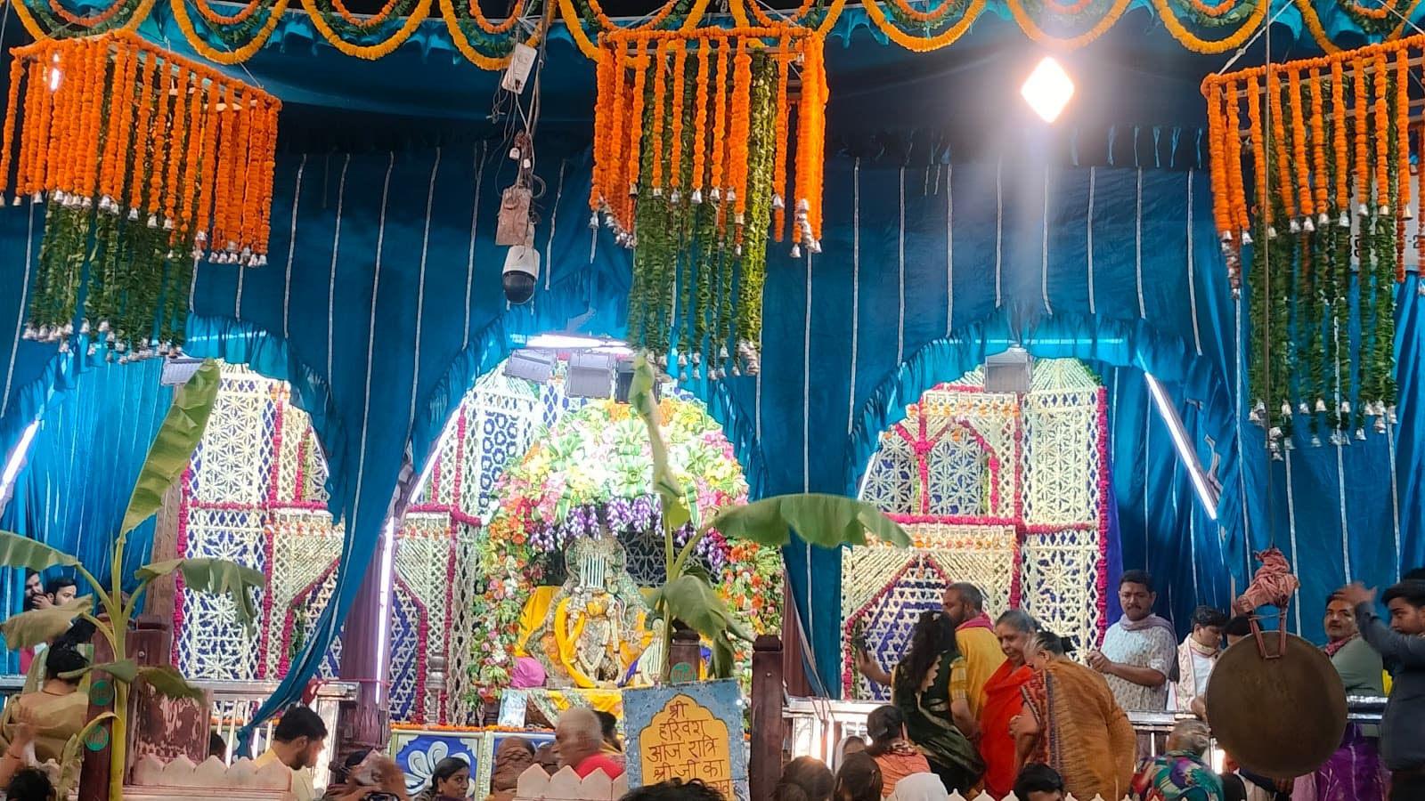 Volunteer at Radha Vallabh Haveli Mathura